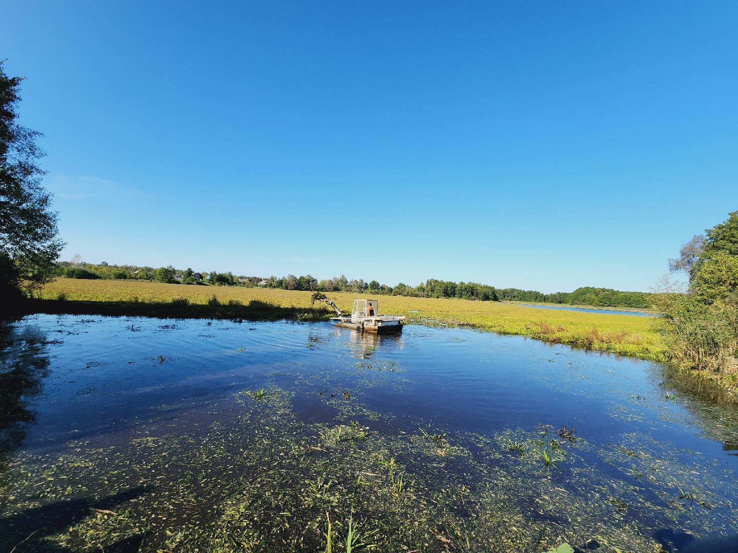 Егорьевск, святое озеро, Подмосковье, Московская область, экология, чистые пруды,