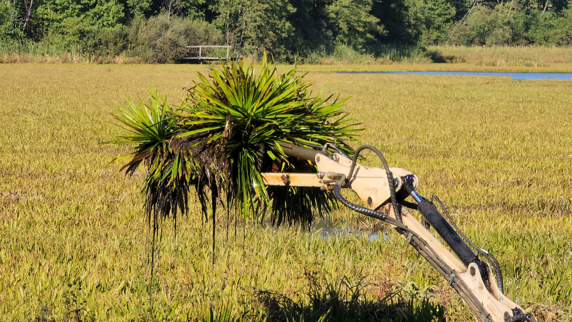 Егорьевск, святое озеро, Подмосковье, Московская область, экология, чистые пруды,