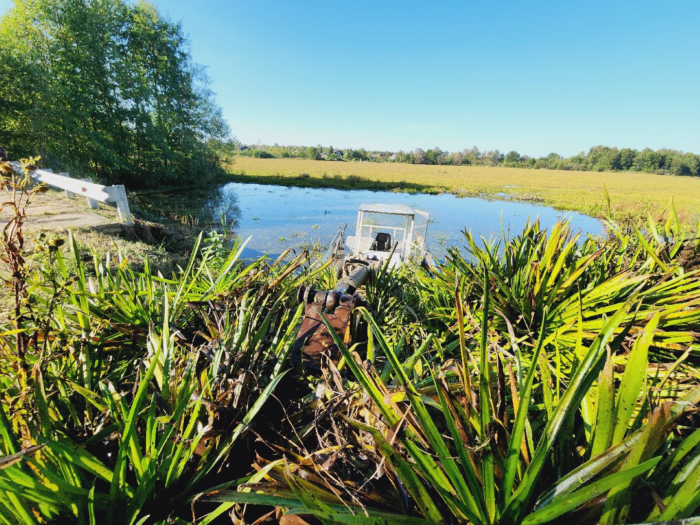 Егорьевск, святое озеро, Подмосковье, Московская область, экология, чистые пруды,