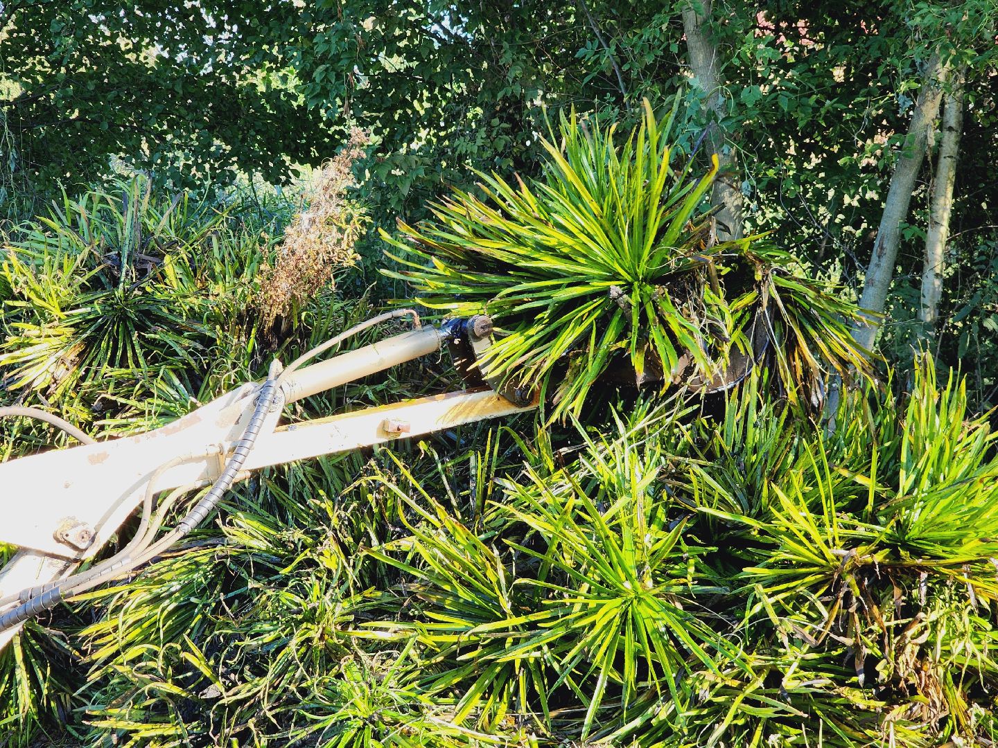 Егорьевск, святое озеро, Подмосковье, Московская область, экология, чистые пруды,