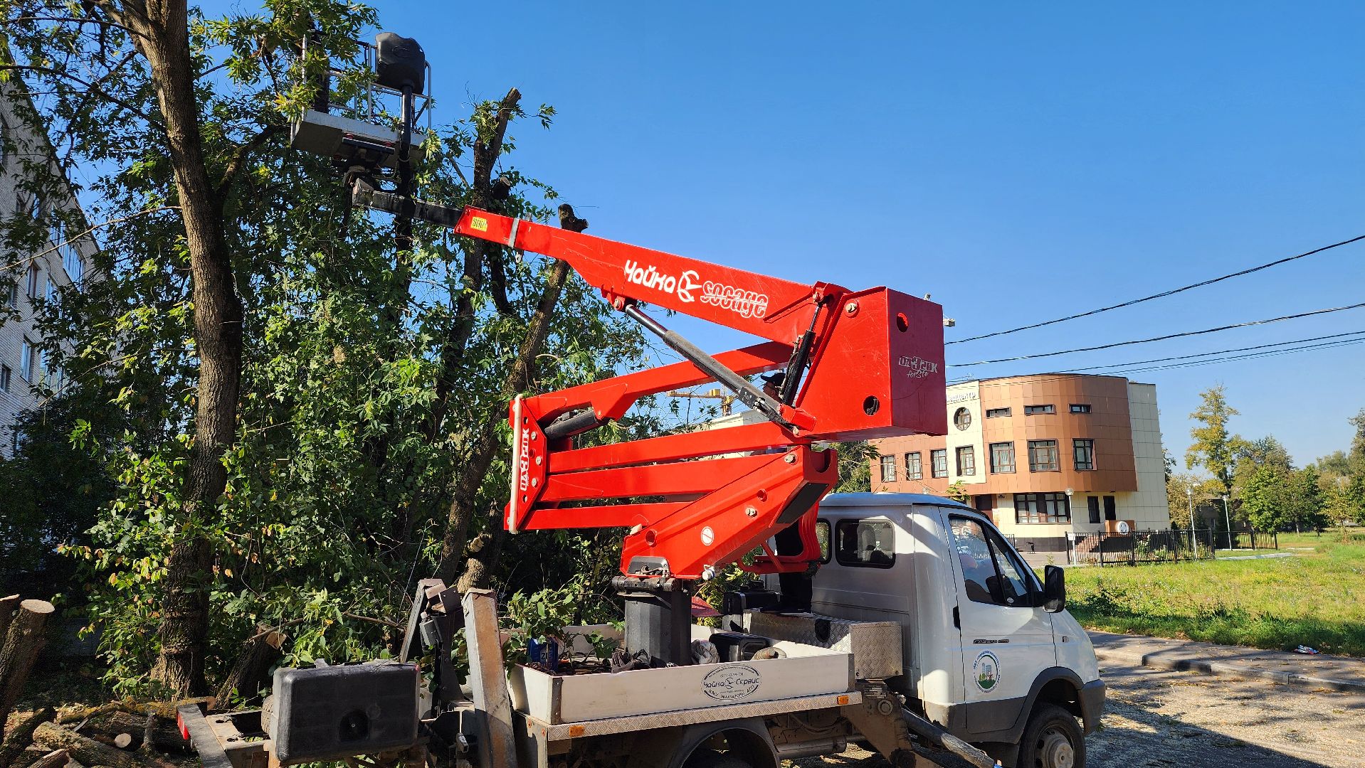 санитарная обрезка деревьев, коммунальные службы, порубочный билет, Старая Купавна, Богородский городской округ,