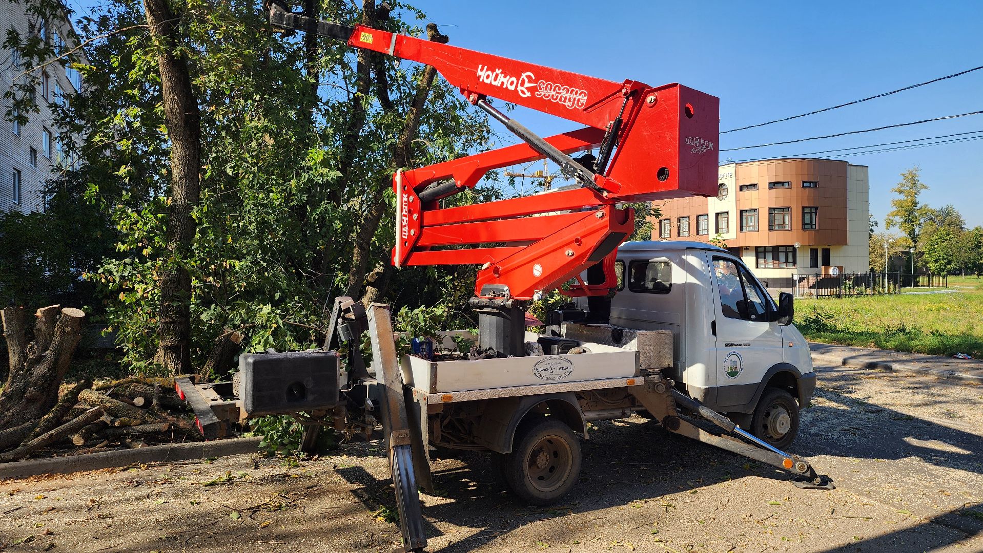 санитарная обрезка деревьев, коммунальные службы, порубочный билет, Старая Купавна, Богородский городской округ,