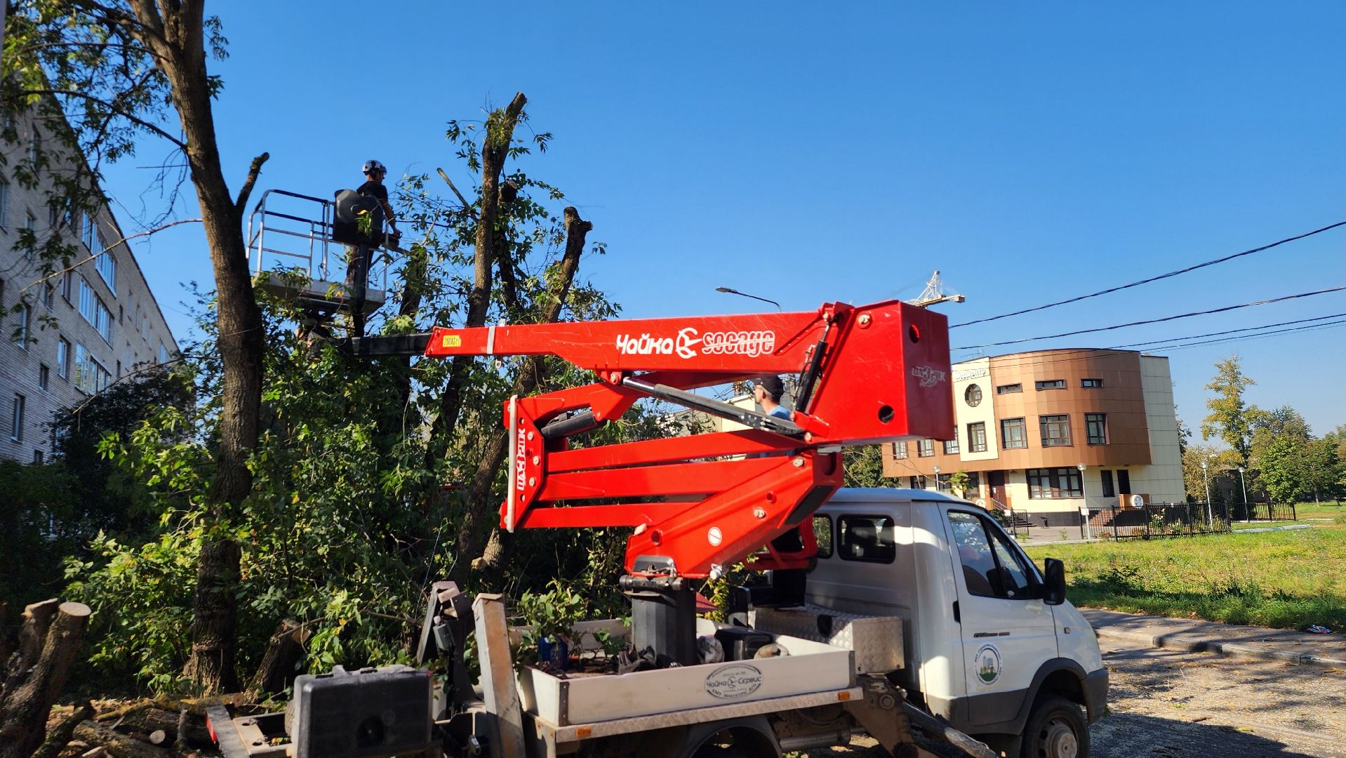 санитарная обрезка деревьев, коммунальные службы, порубочный билет, Старая Купавна, Богородский городской округ,