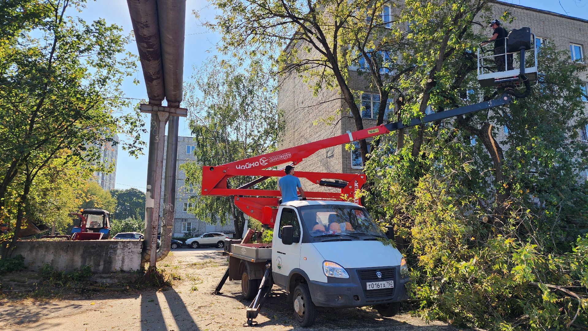 санитарная обрезка деревьев, коммунальные службы, порубочный билет, Старая Купавна, Богородский городской округ,