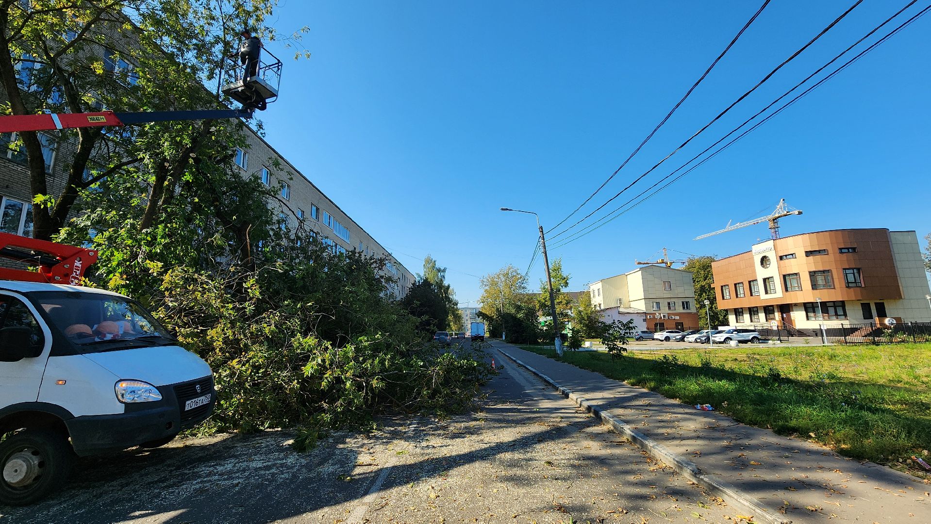 санитарная обрезка деревьев, коммунальные службы, порубочный билет, Старая Купавна, Богородский городской округ,