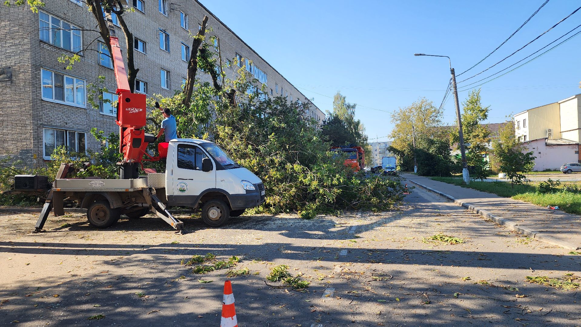 санитарная обрезка деревьев, коммунальные службы, порубочный билет, Старая Купавна, Богородский городской округ,