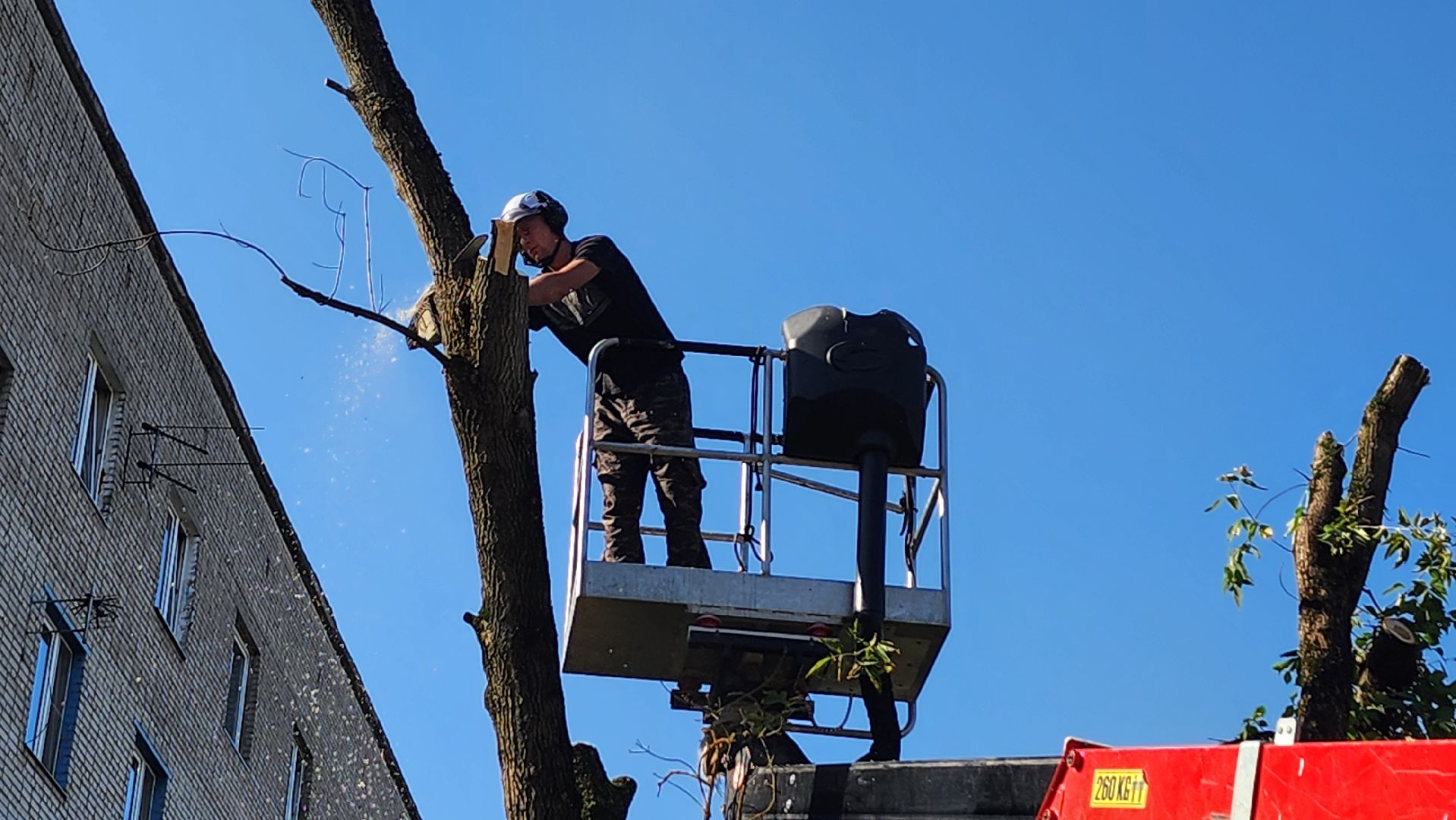 санитарная обрезка деревьев, коммунальные службы, порубочный билет, Старая Купавна, Богородский городской округ,