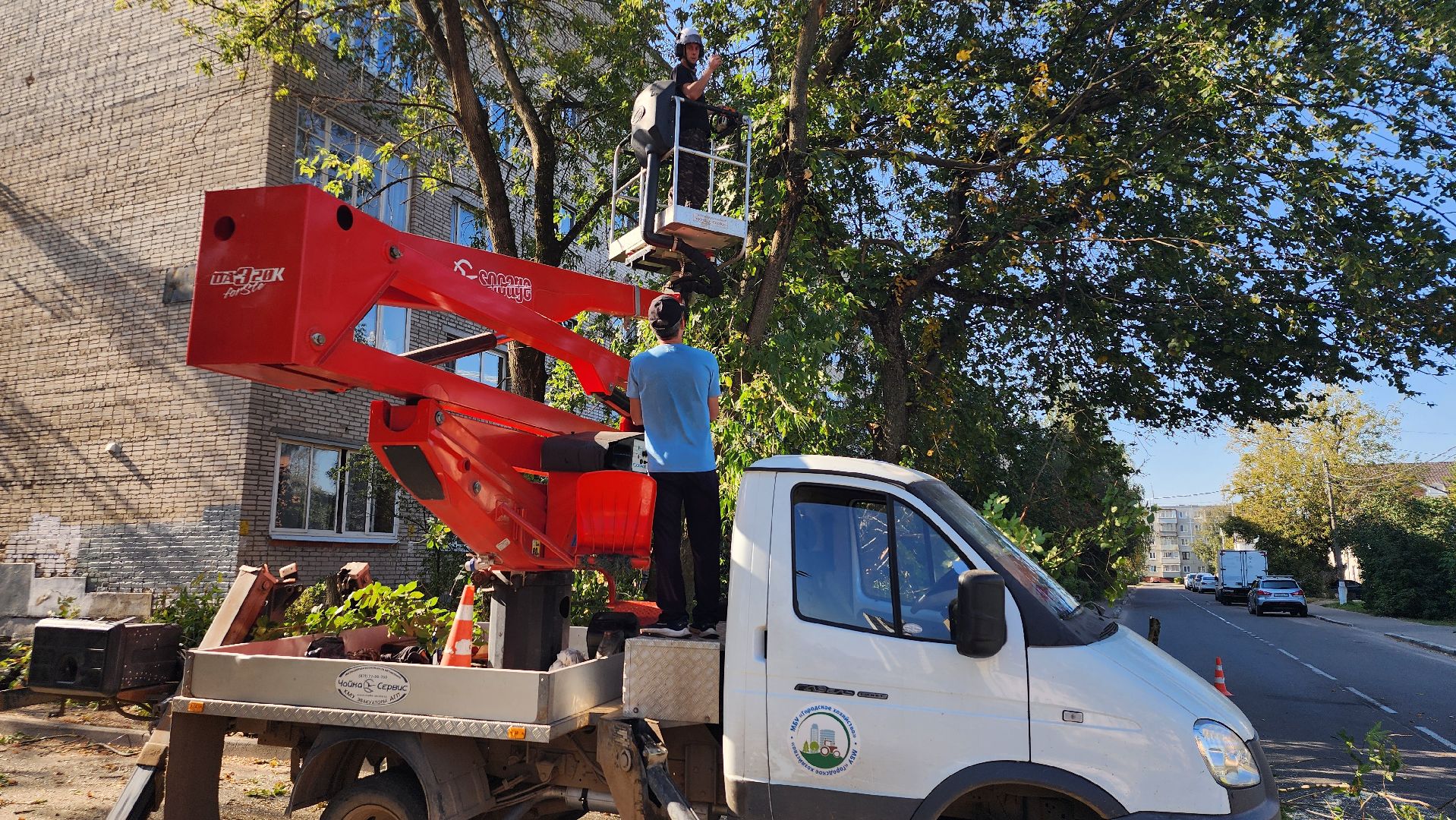 санитарная обрезка деревьев, коммунальные службы, порубочный билет, Старая Купавна, Богородский городской округ,