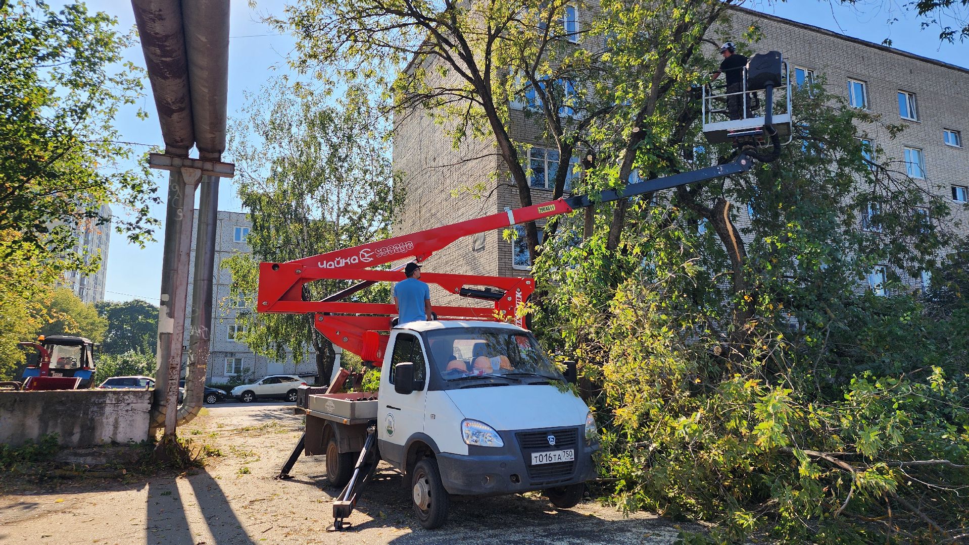 санитарная обрезка деревьев, коммунальные службы, порубочный билет, Старая Купавна, Богородский городской округ,