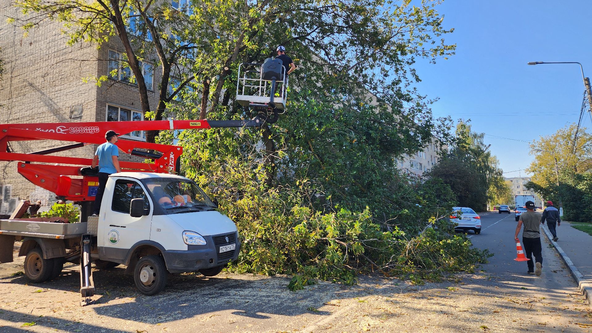 санитарная обрезка деревьев, коммунальные службы, порубочный билет, Старая Купавна, Богородский городской округ,
