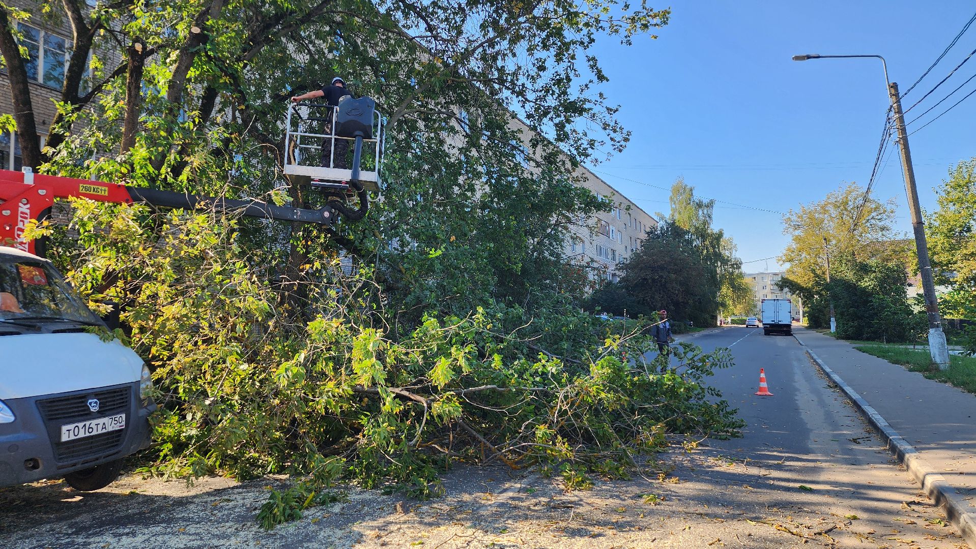 санитарная обрезка деревьев, коммунальные службы, порубочный билет, Старая Купавна, Богородский городской округ,