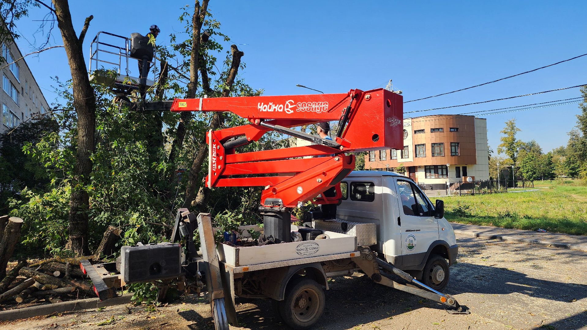санитарная обрезка деревьев, коммунальные службы, порубочный билет, Старая Купавна, Богородский городской округ,