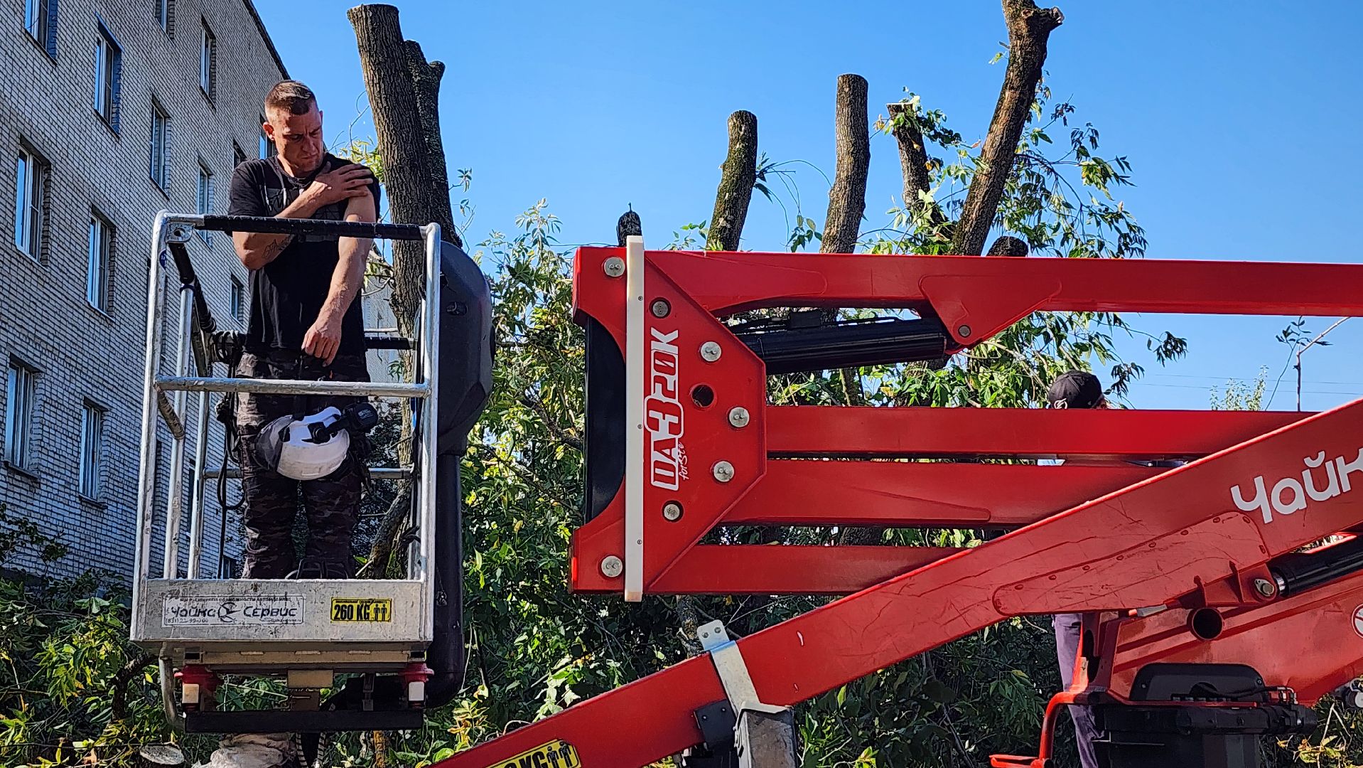 санитарная обрезка деревьев, коммунальные службы, порубочный билет, Старая Купавна, Богородский городской округ,