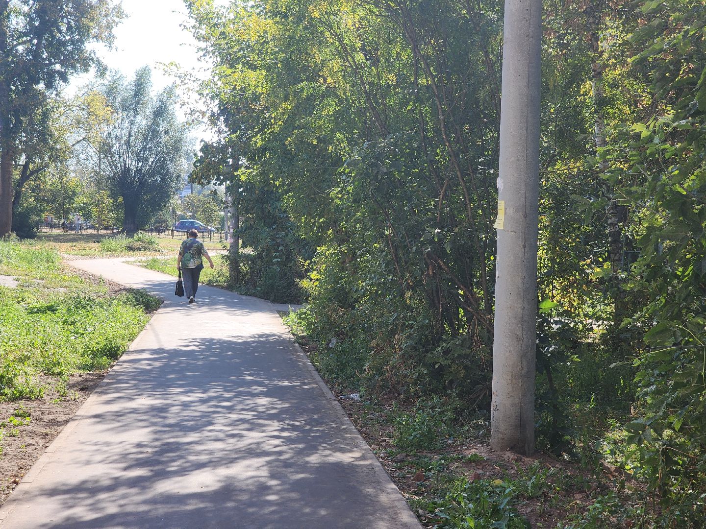 народные тропы, благоустройство 2024, пешком, орехово-зуевский округ,