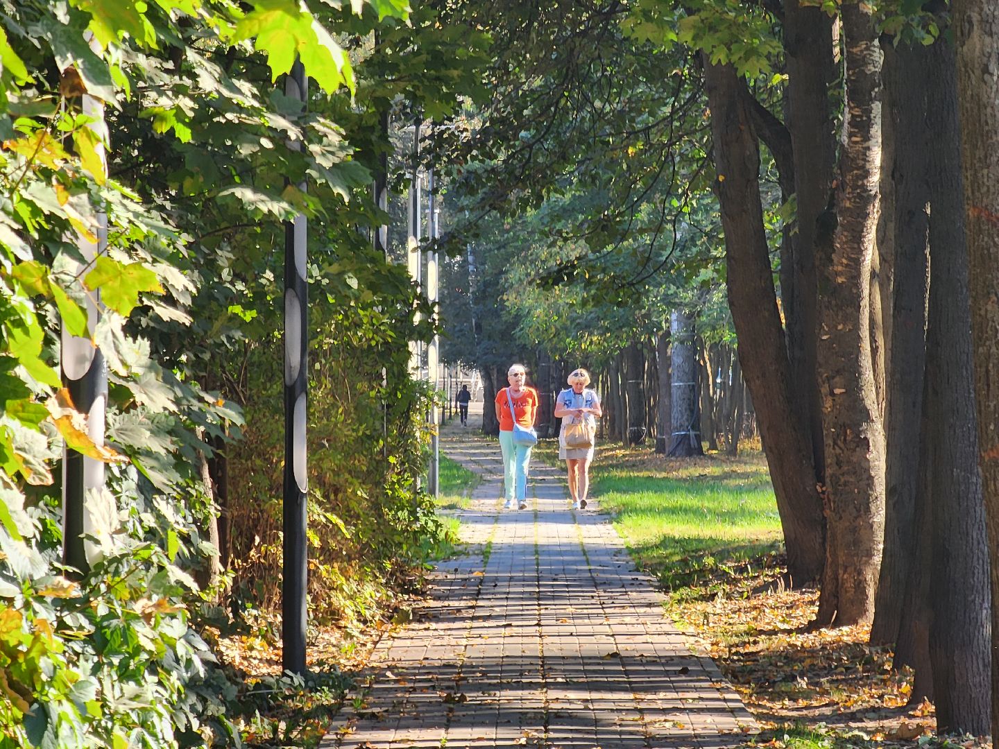 одинцово, горки-10, благоустройство, жкх, выездная администрация, успенское, кдц имени кобзона,