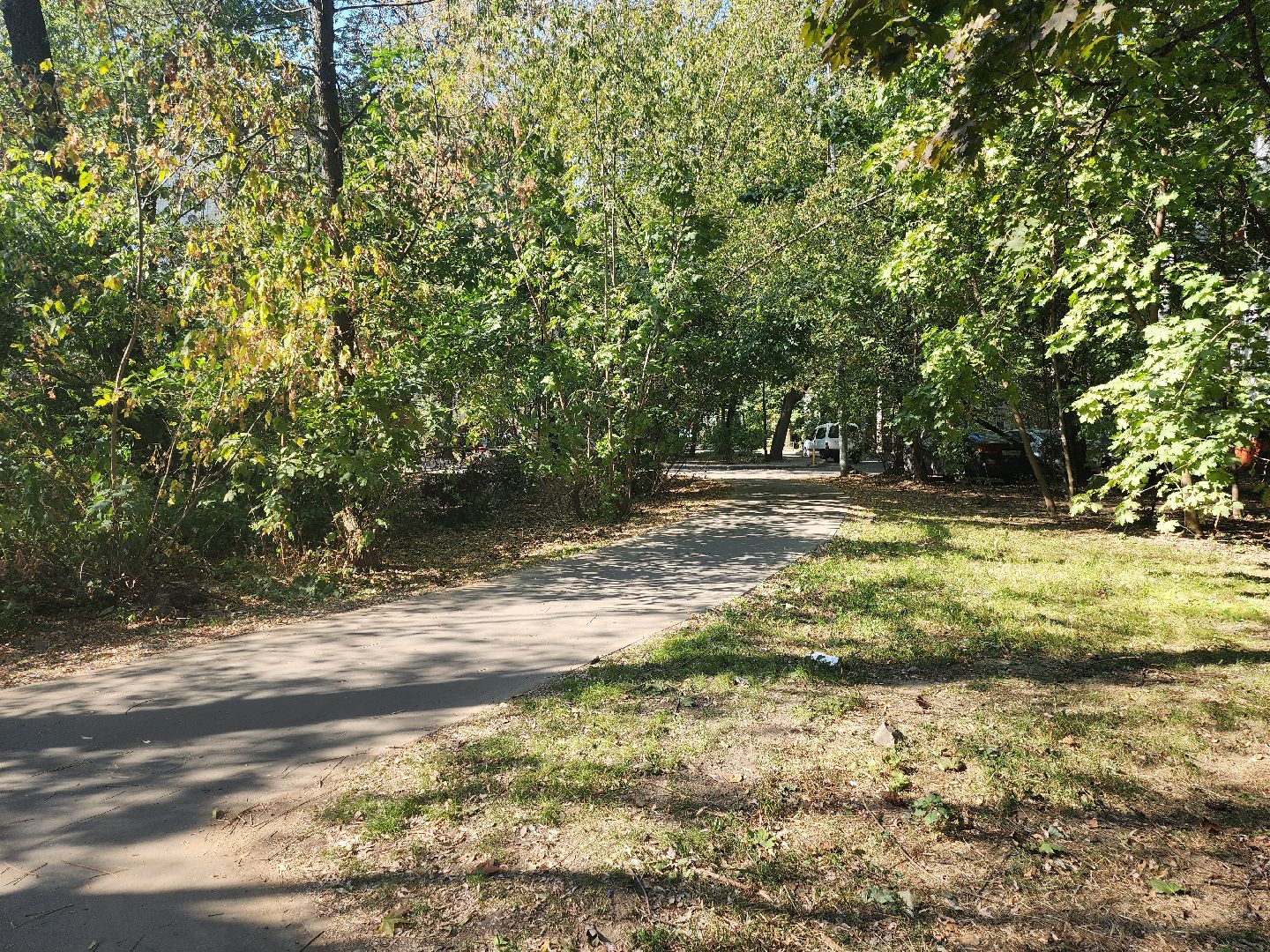 пешеходные зоны, народные тропы,