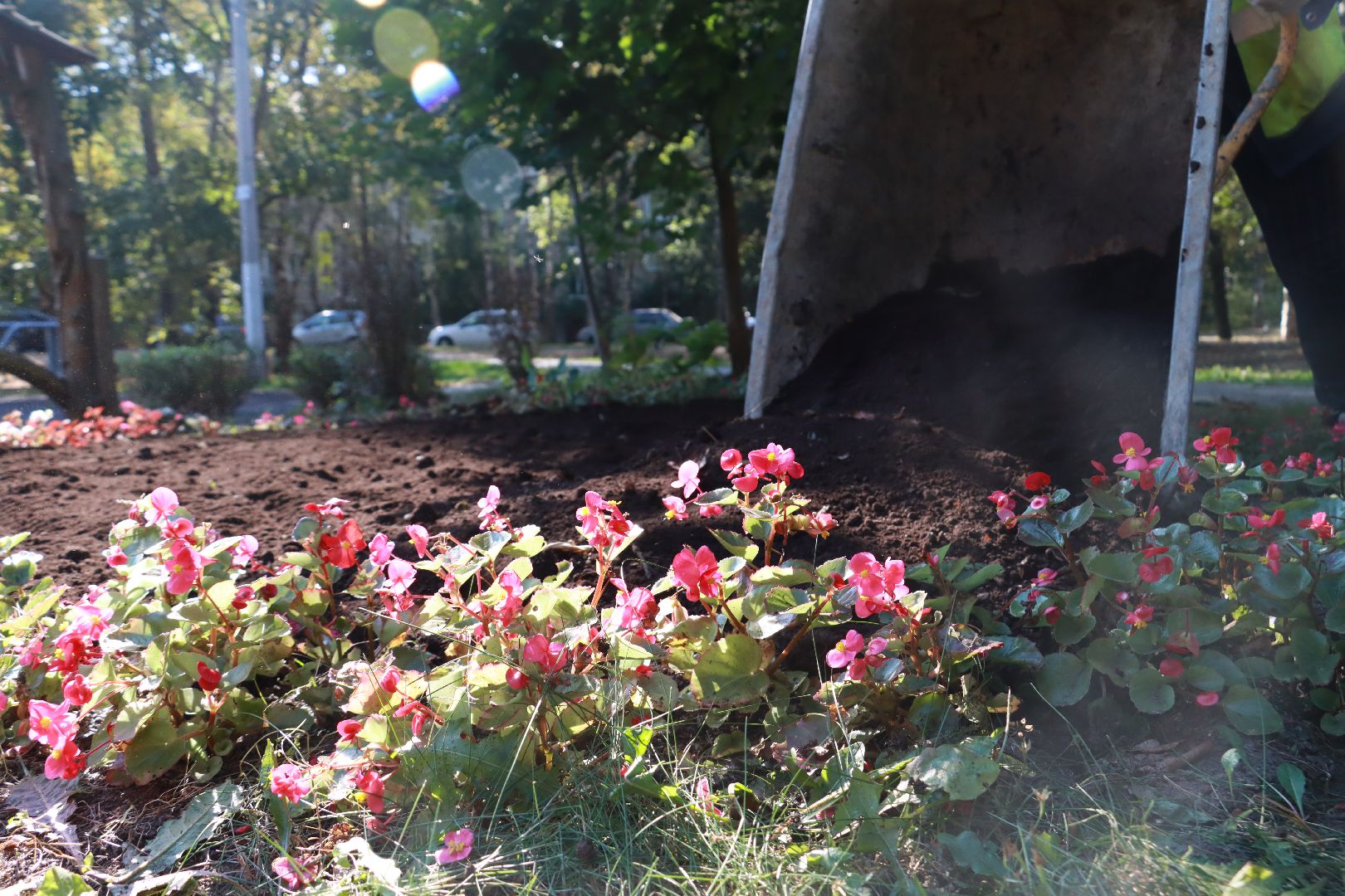 озеленение, цветочные клумбы, скверы,