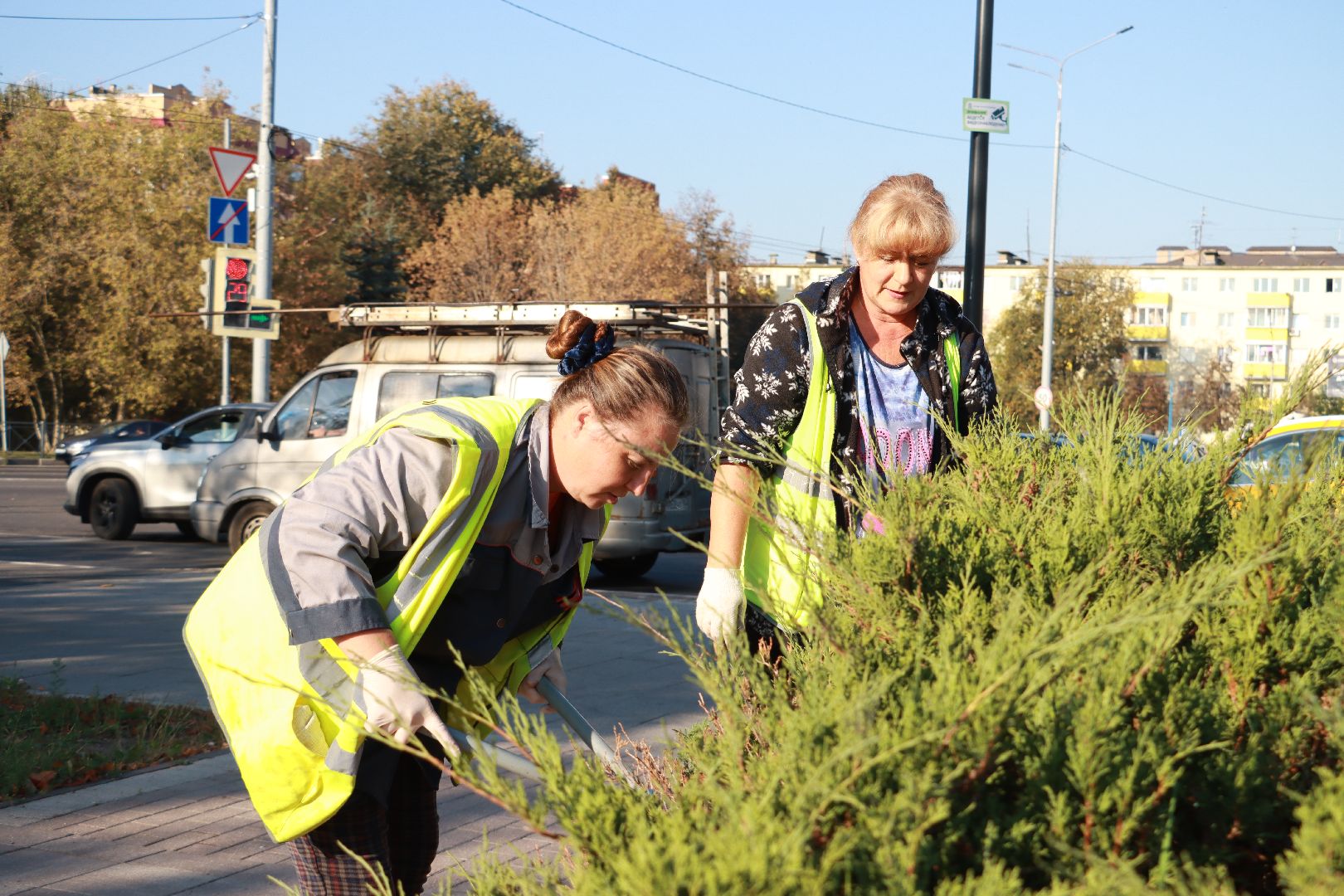 озеленение, цветочные клумбы, скверы,