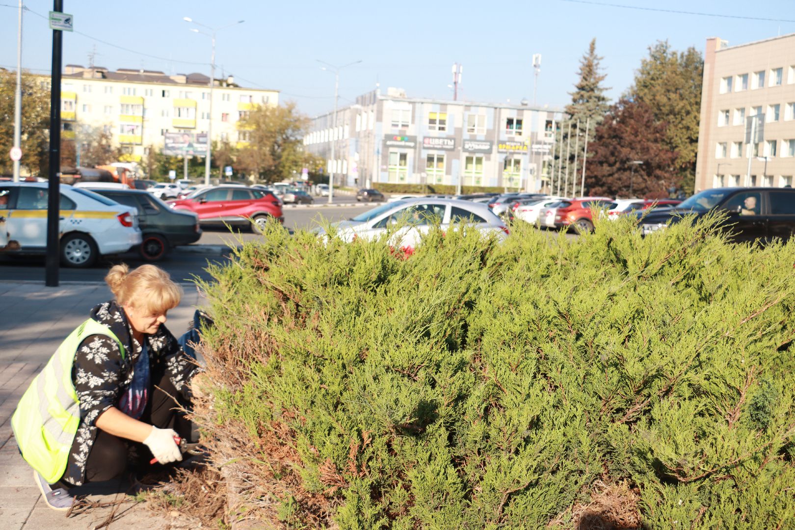 озеленение, цветочные клумбы, скверы,