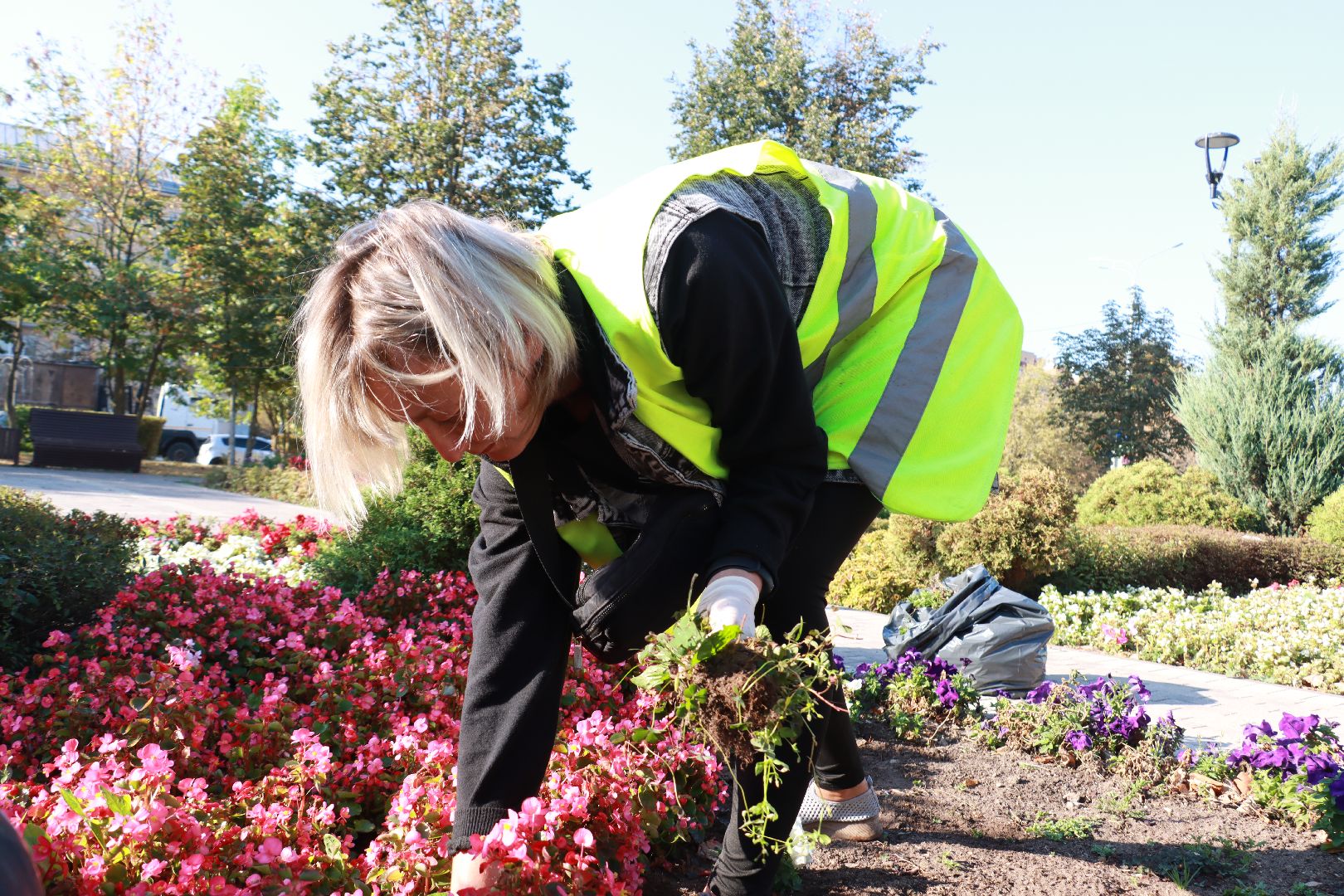 озеленение, цветочные клумбы, скверы,
