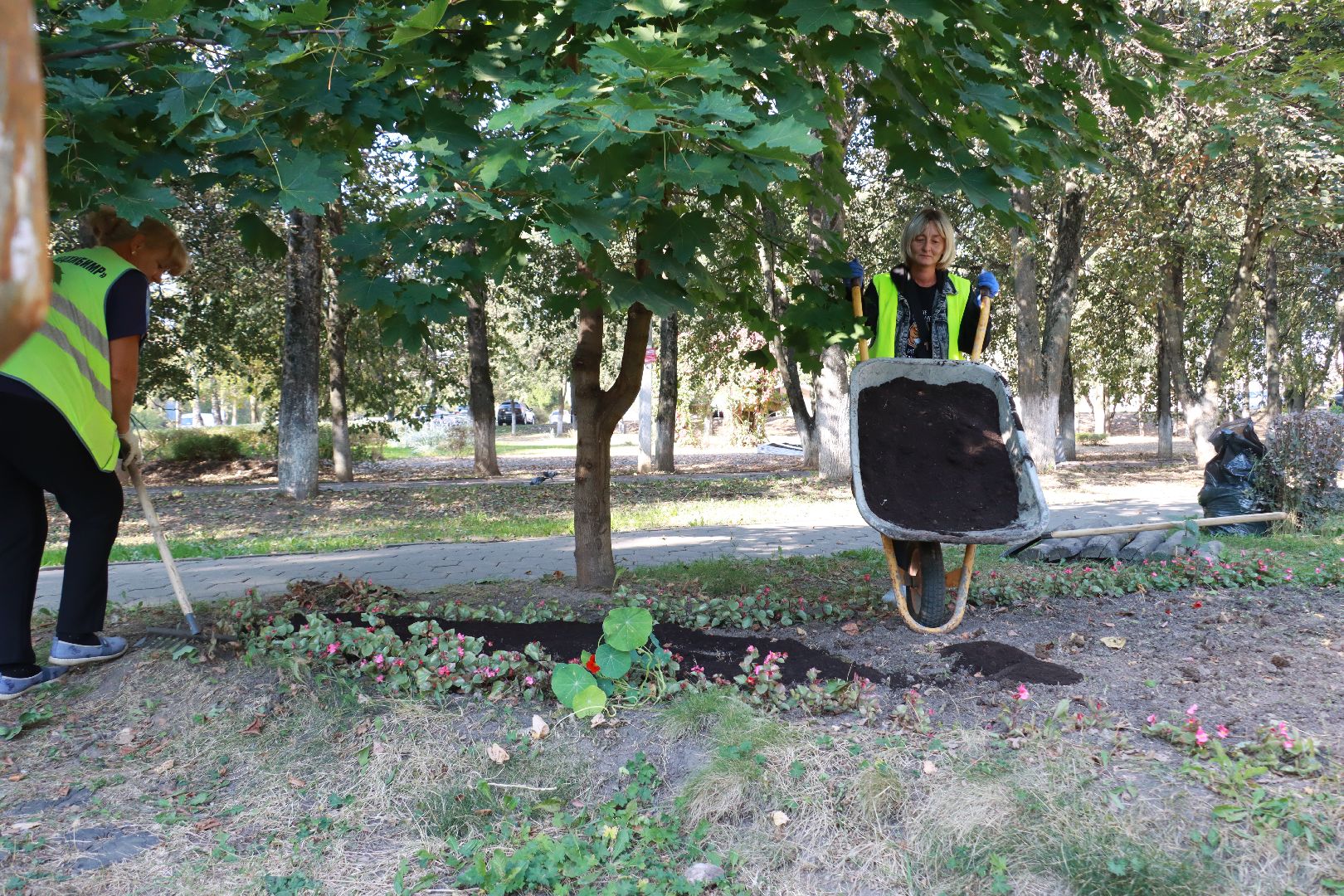 озеленение, цветочные клумбы, скверы,