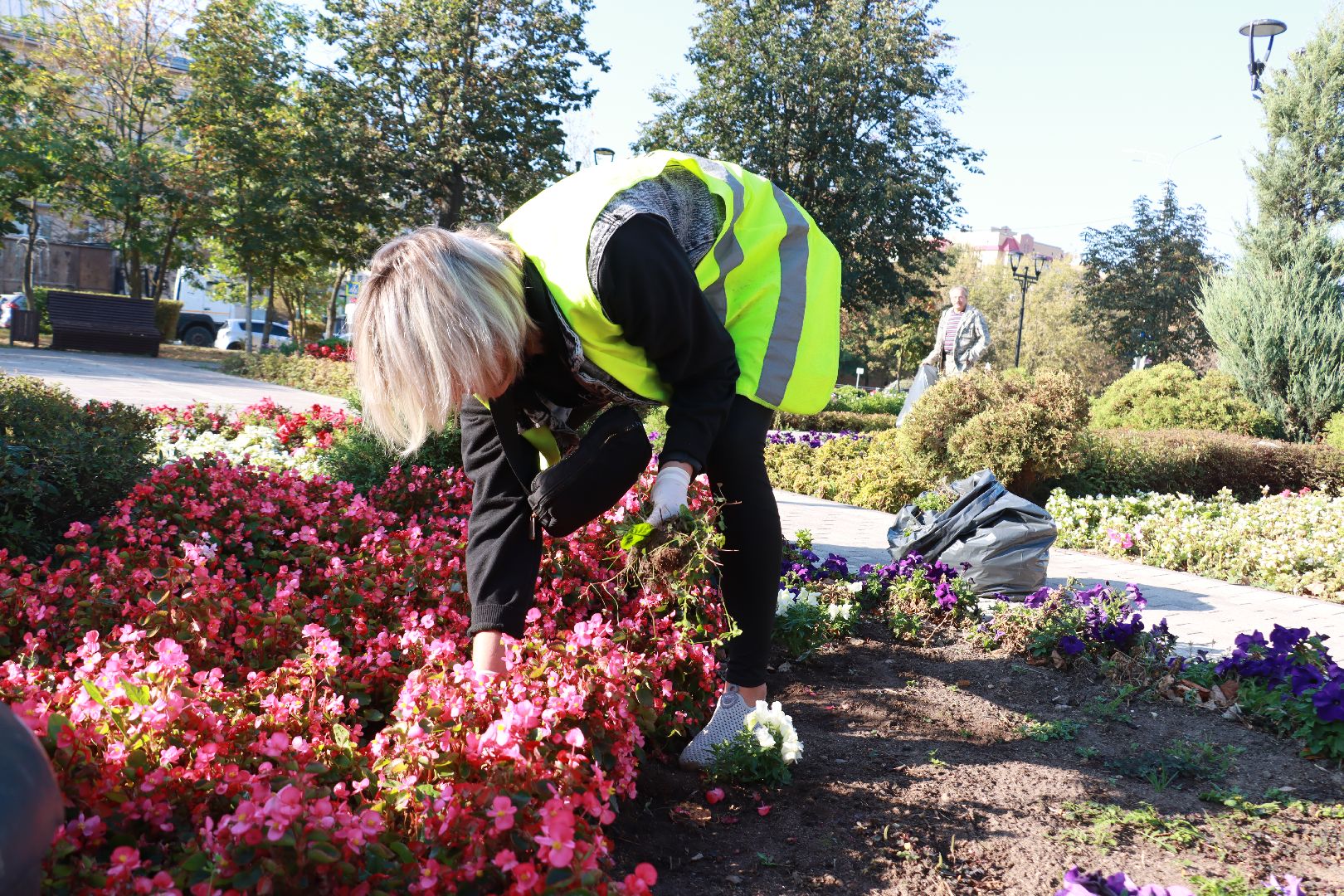 озеленение, цветочные клумбы, скверы,