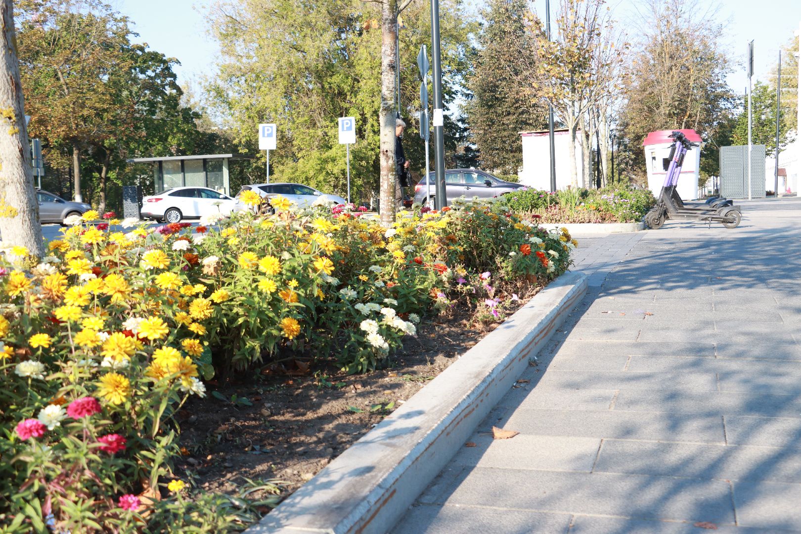 озеленение, цветочные клумбы, скверы,