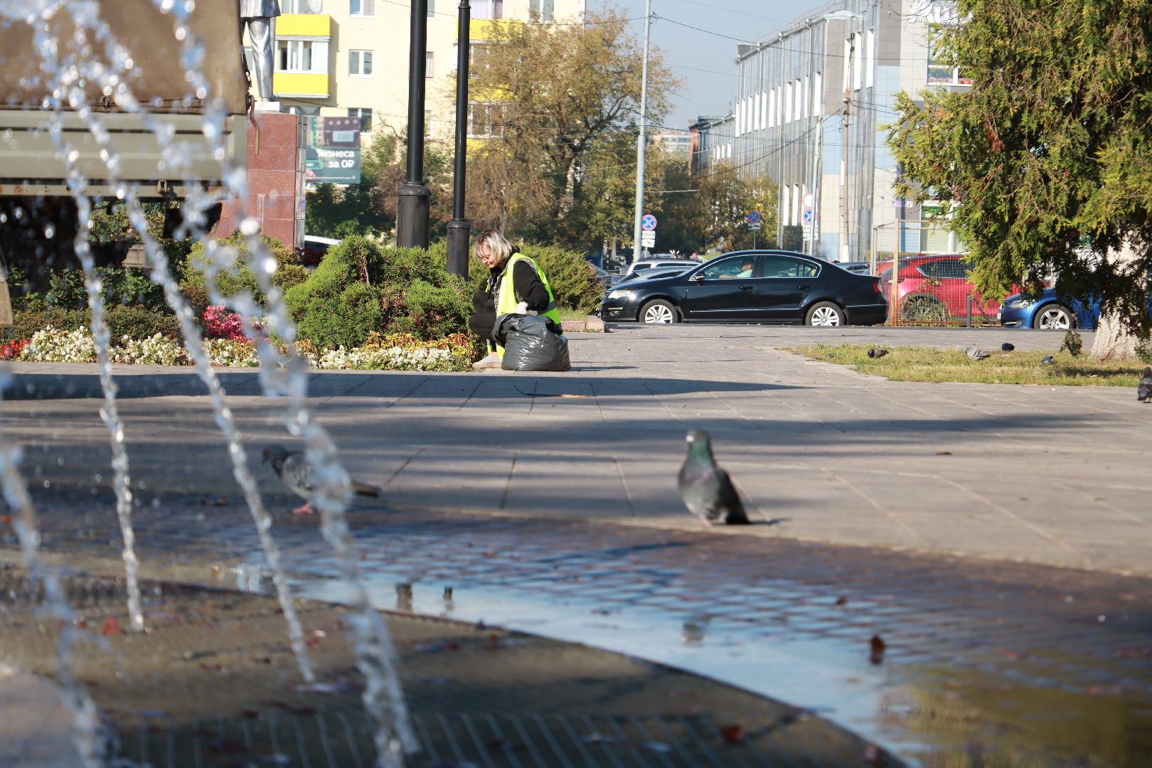 озеленение, цветочные клумбы, скверы,