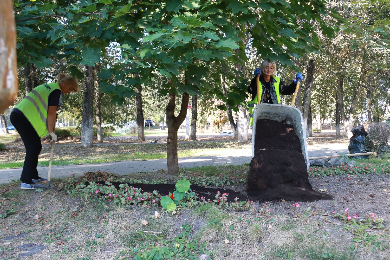 озеленение, цветочные клумбы, скверы,