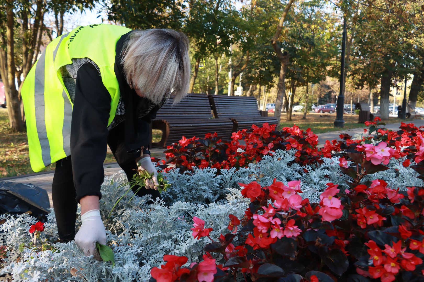 озеленение, цветочные клумбы, скверы,