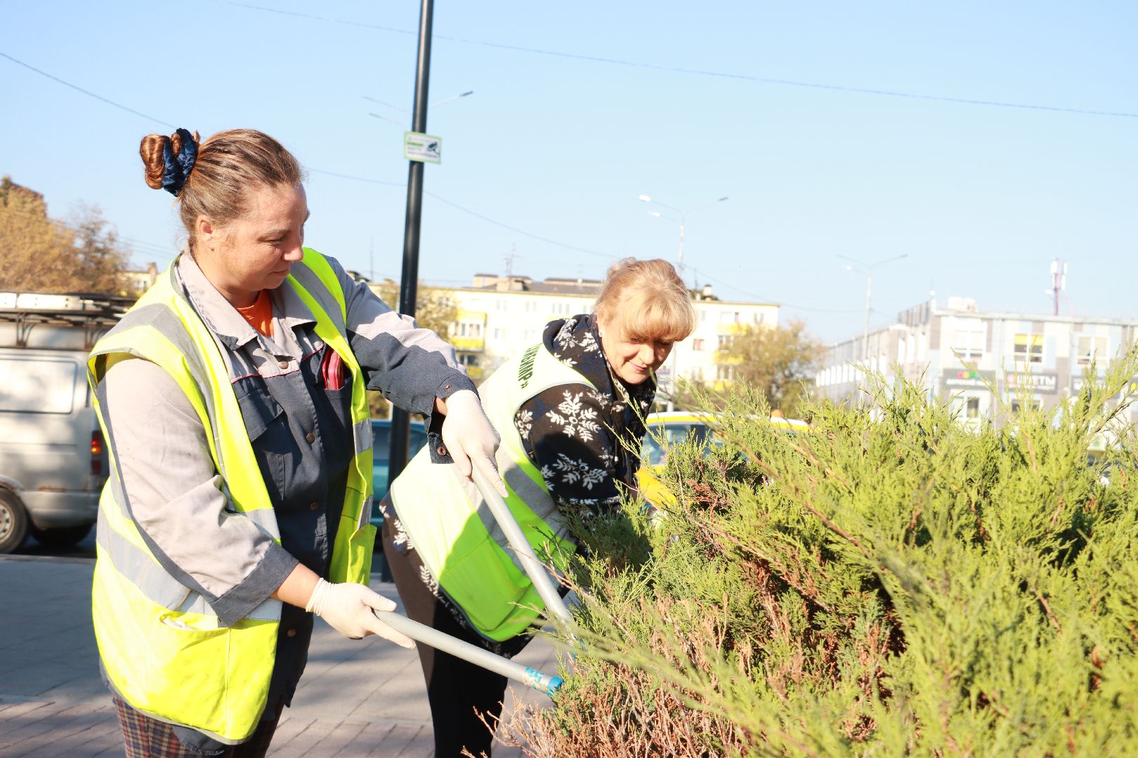 озеленение, цветочные клумбы, скверы,