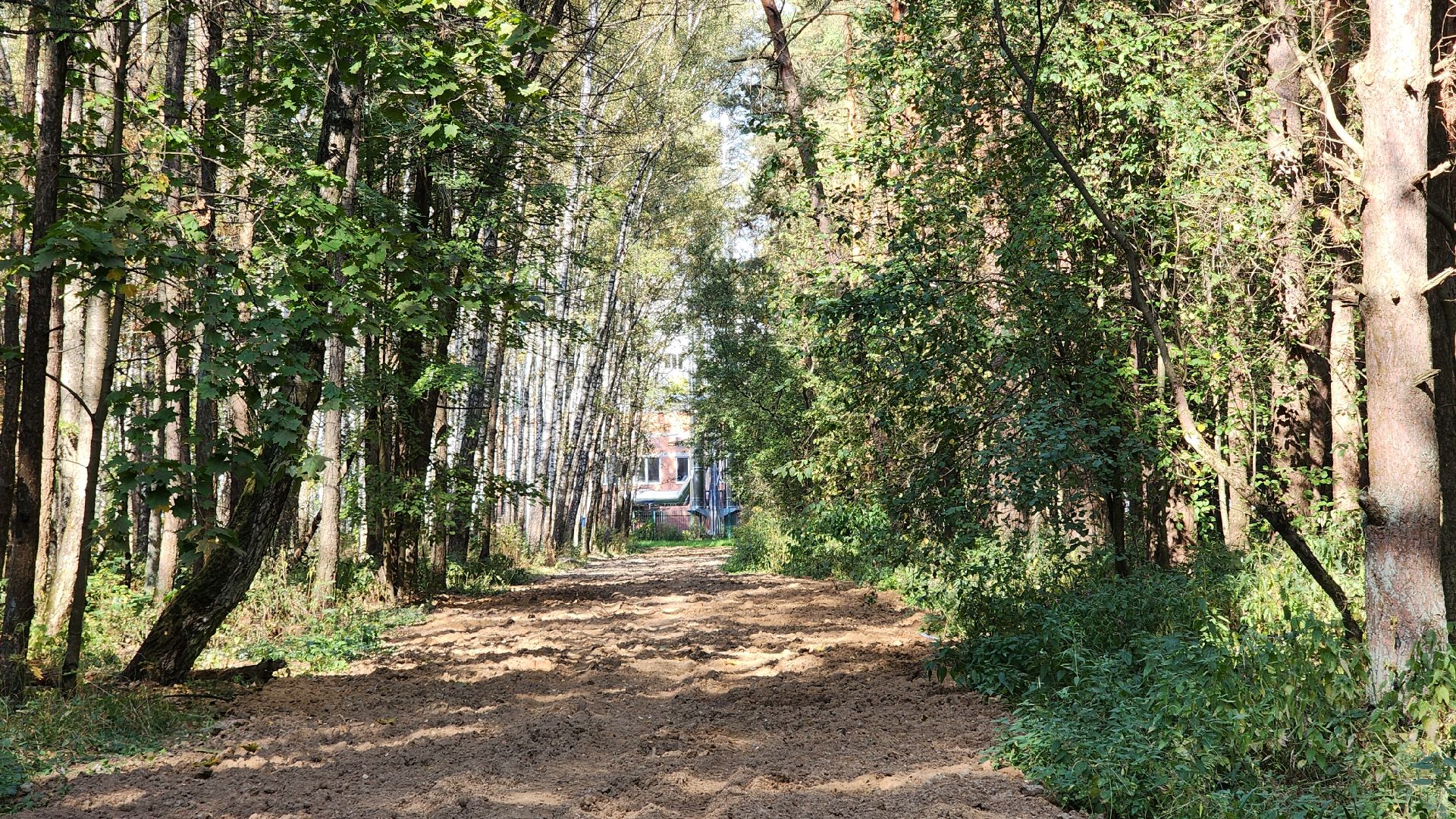 Звенигород, Супонево, Благоустройство, Туризм,