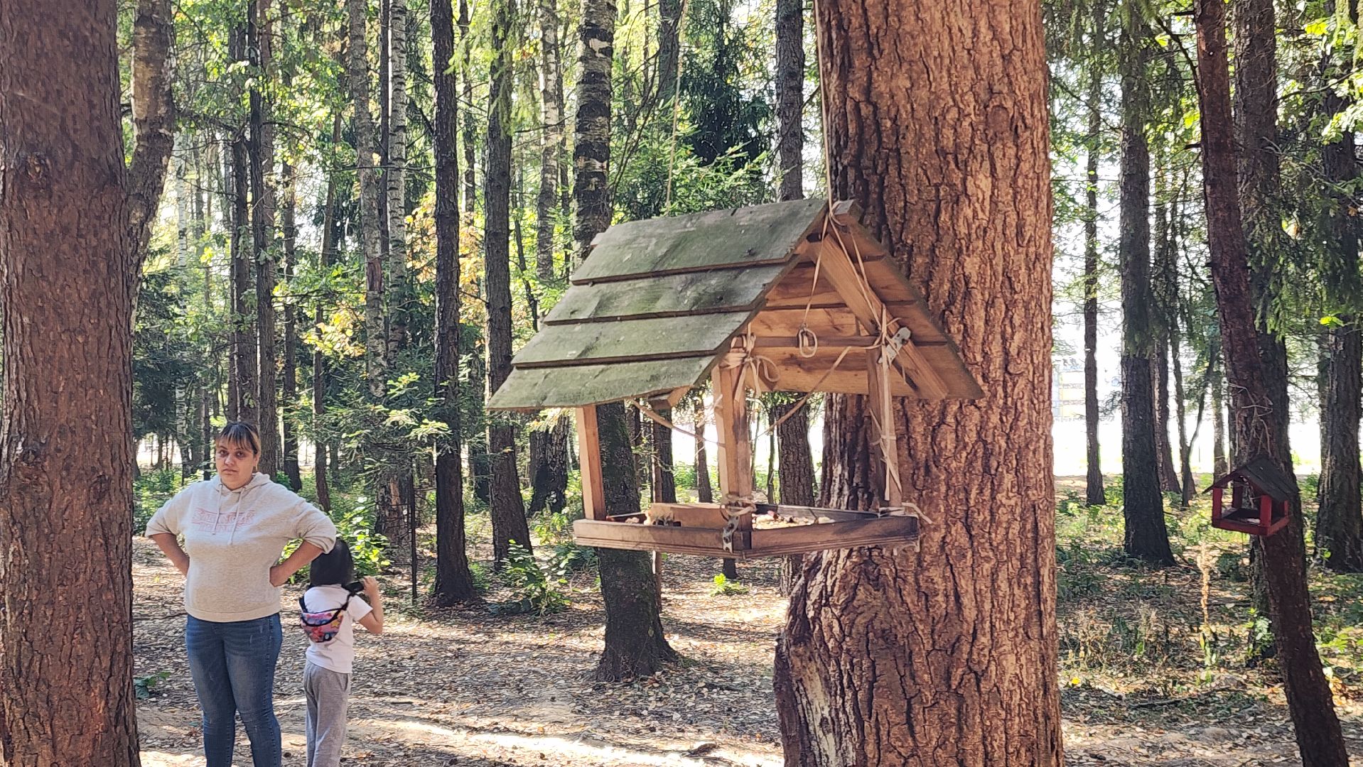 Звенигород, Супонево, Благоустройство, Туризм,