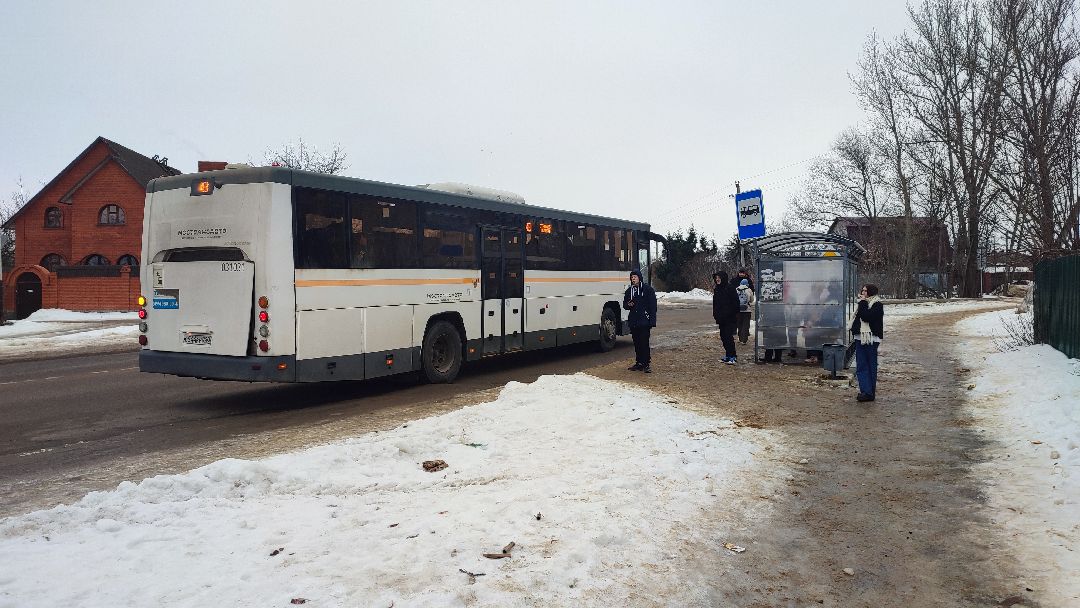 Кашира, общество