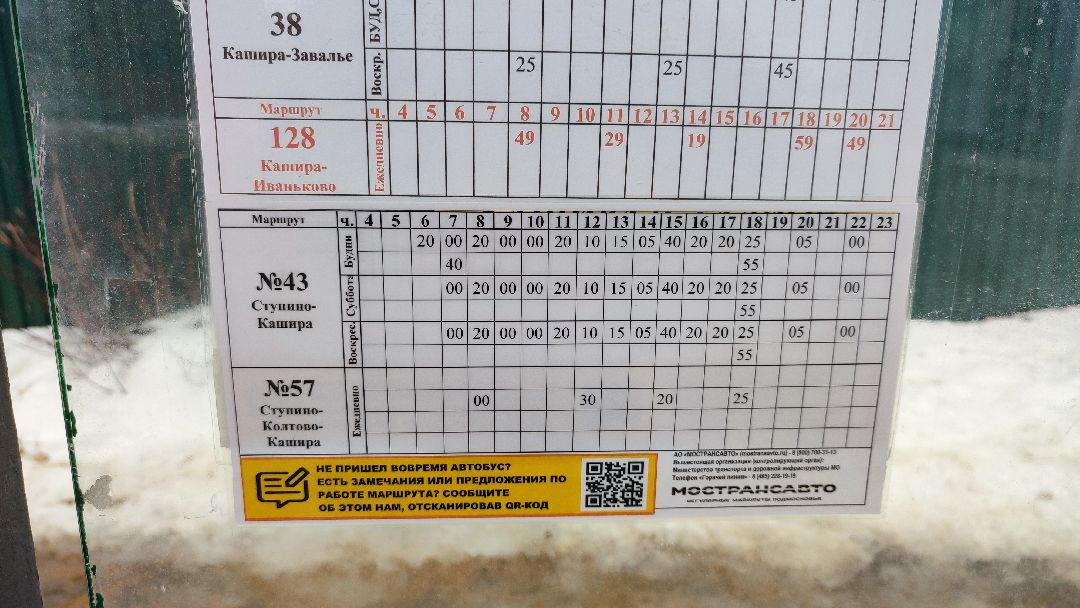 Кашира, общество