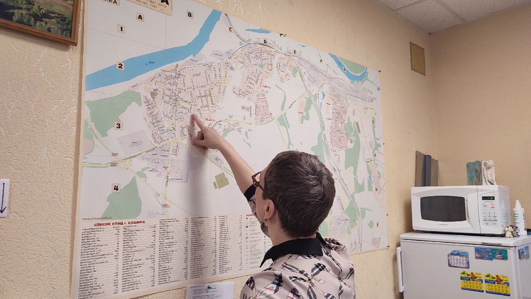 Кашира, общество