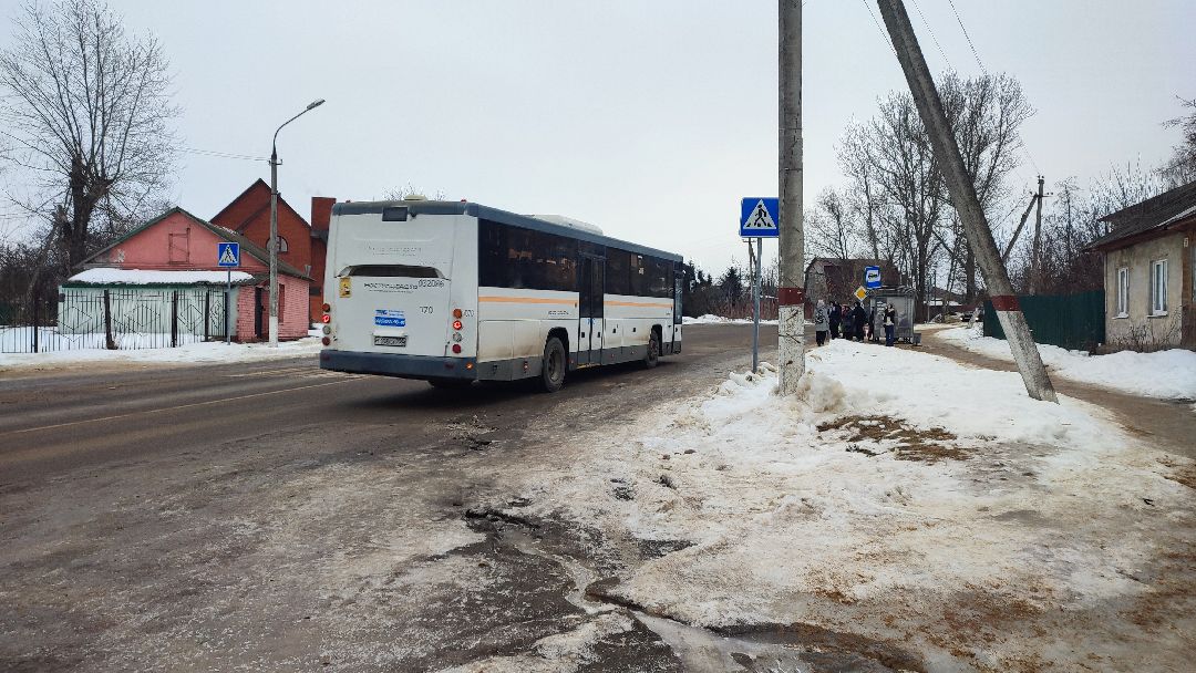 Кашира, общество