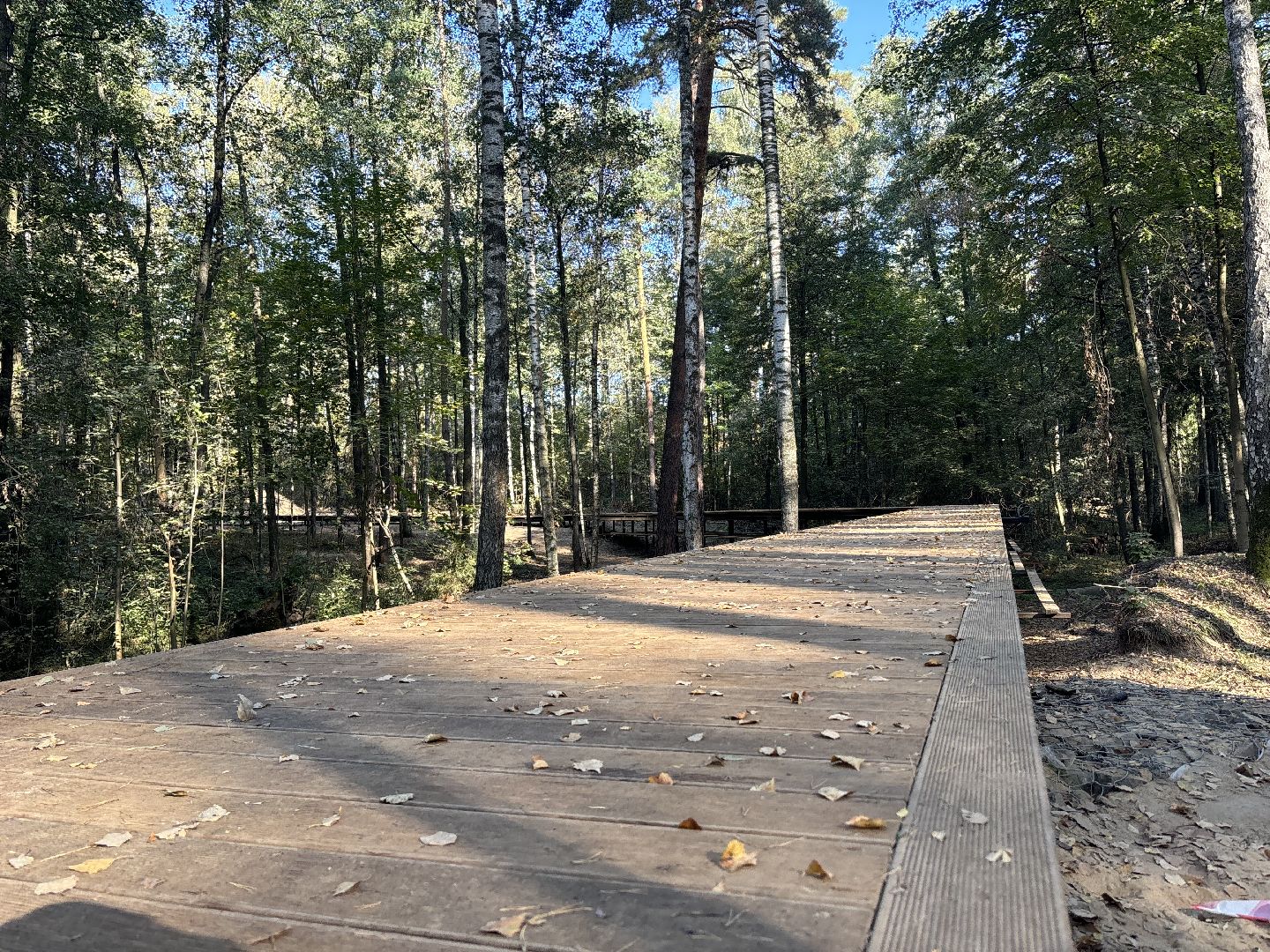 благоустройсво, кучинский лесопарк,