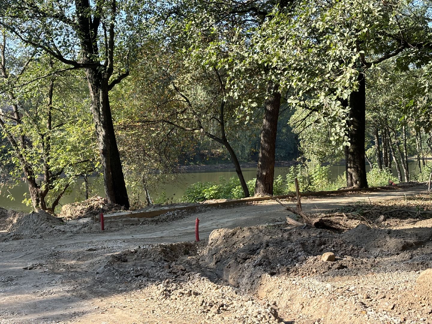 благоустройсво, кучинский лесопарк,