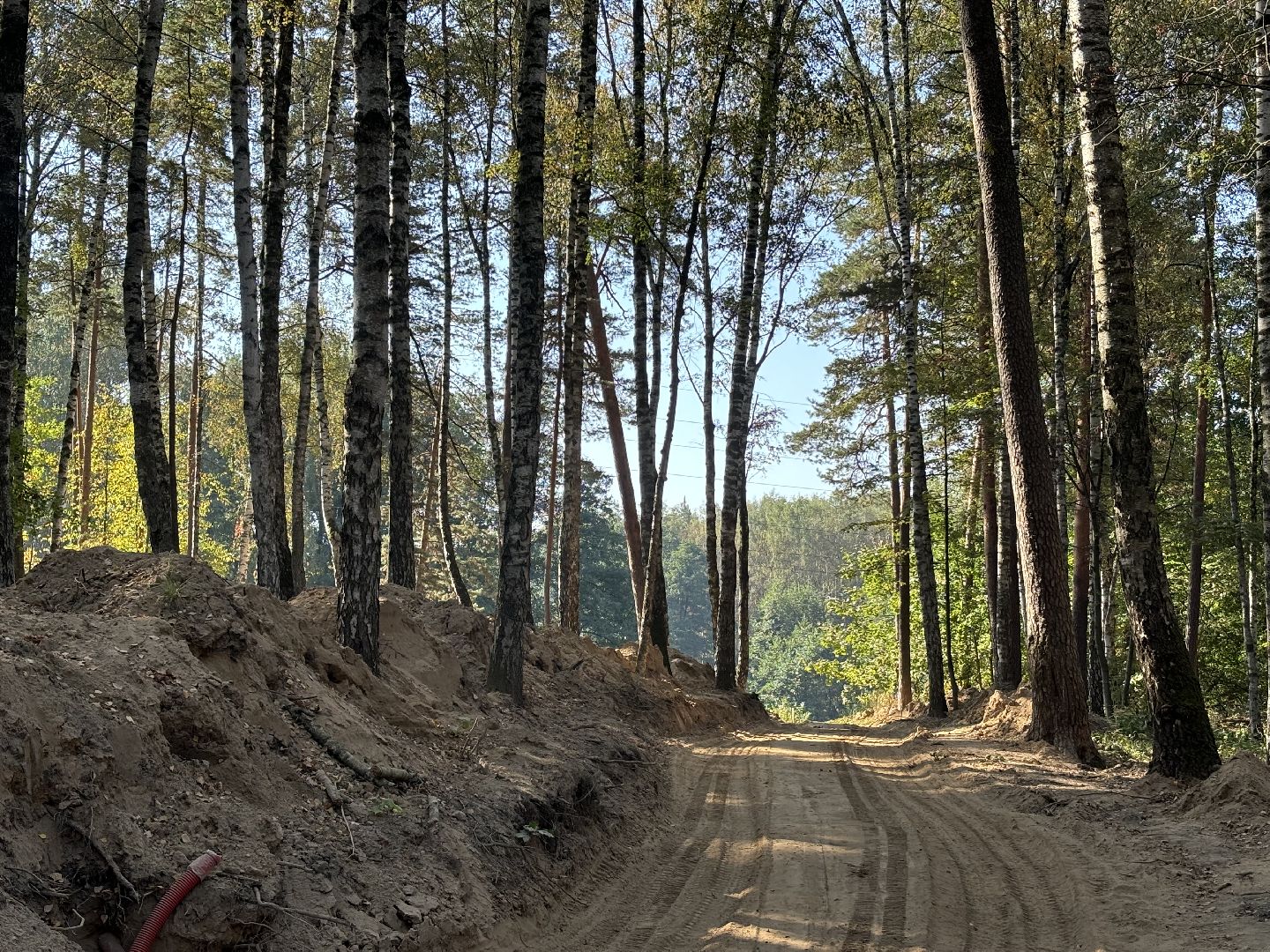 благоустройсво, кучинский лесопарк,