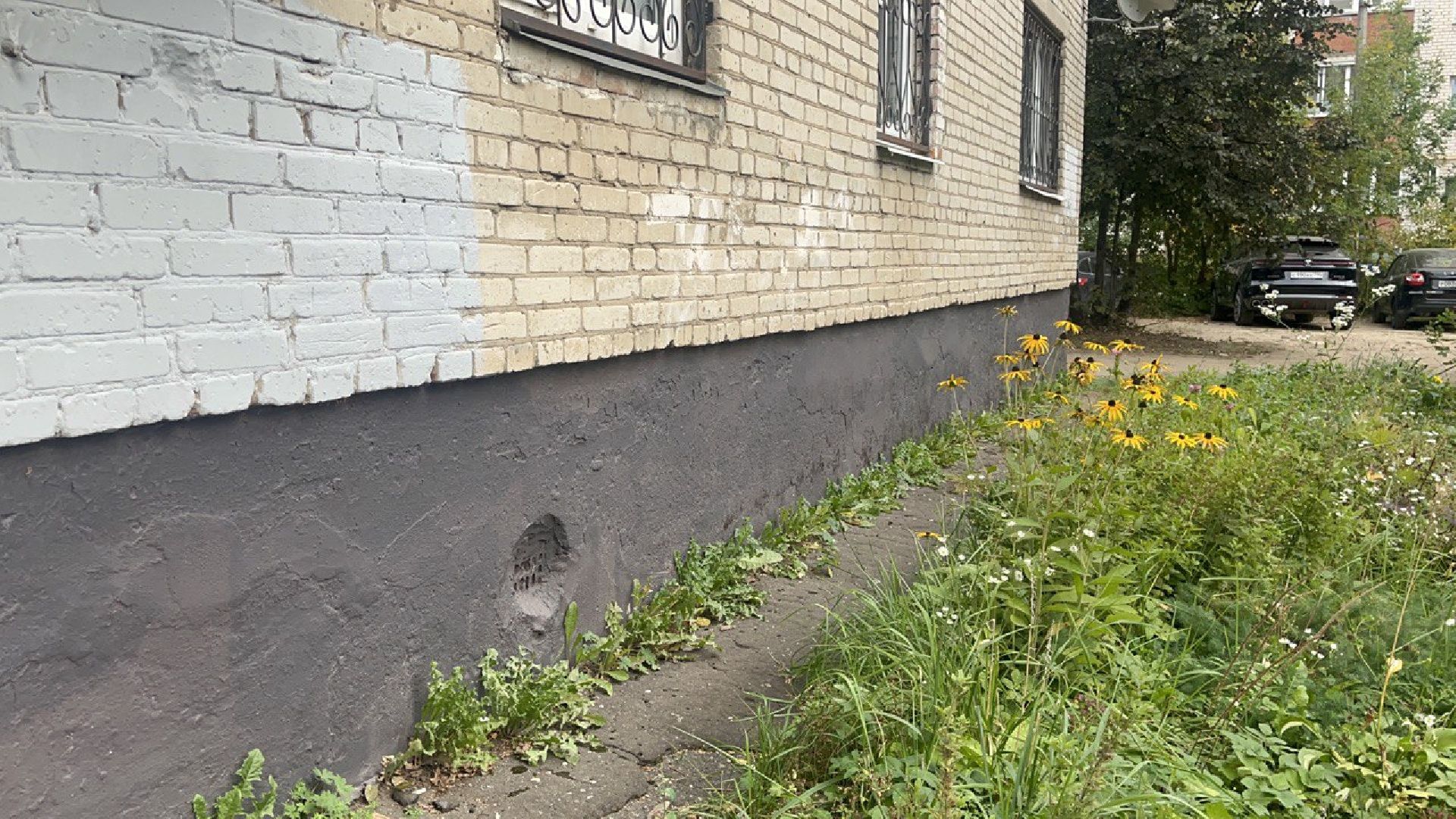 ремонт, штукатурка, благоустройство подъезда,