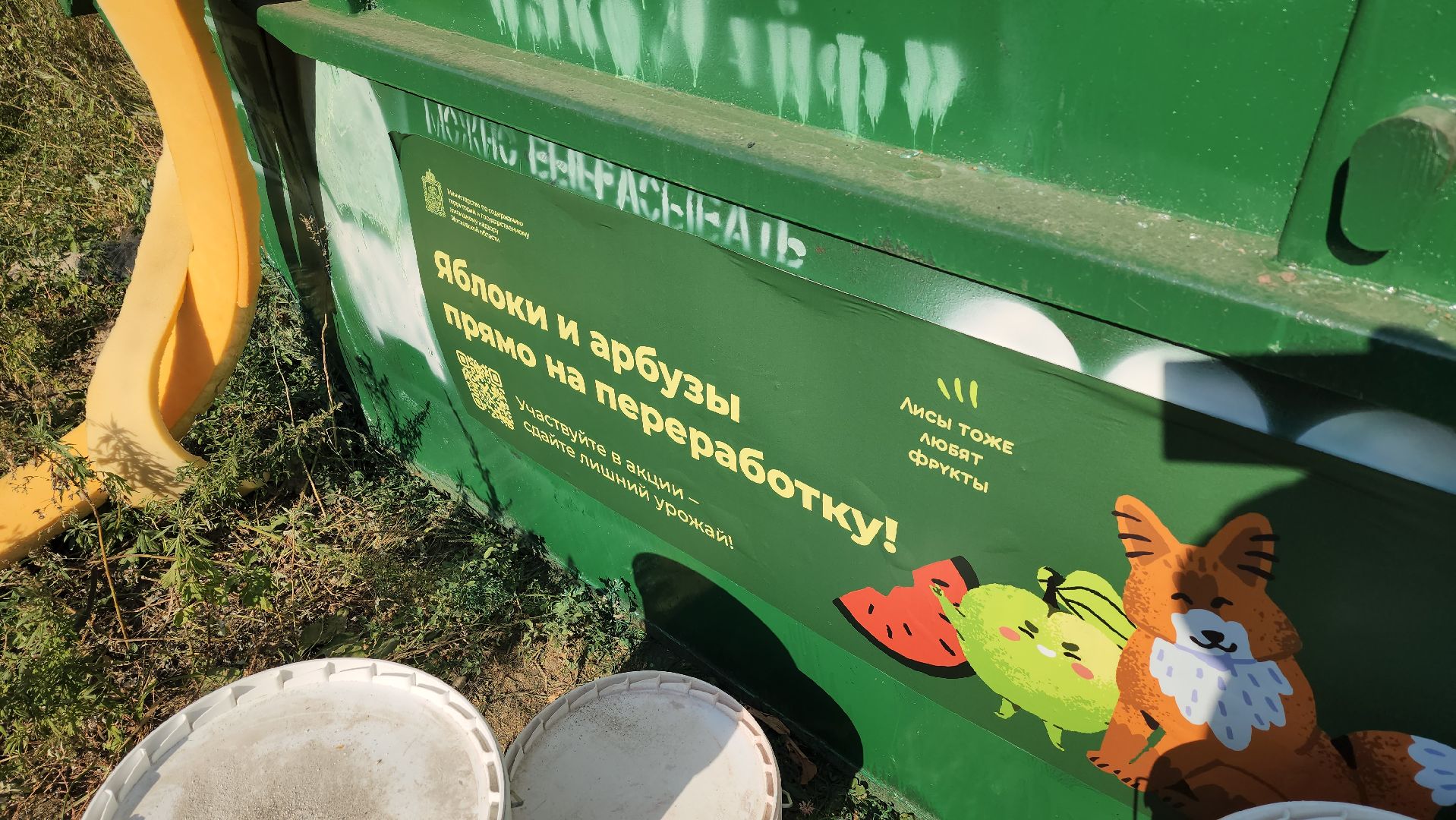 одинцово, жкх, утилизация, бункер, бахчевые, яблоки, арбузы,