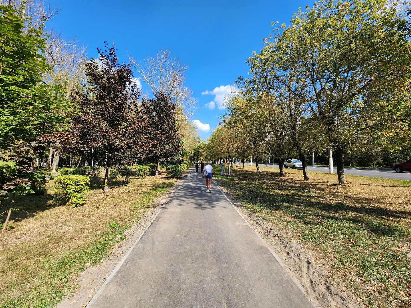 чехов, дороги, тротуар, ремонт,