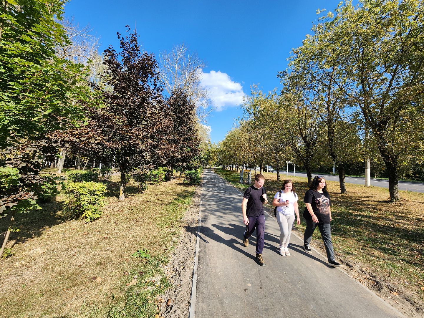 чехов, дороги, тротуар, ремонт,