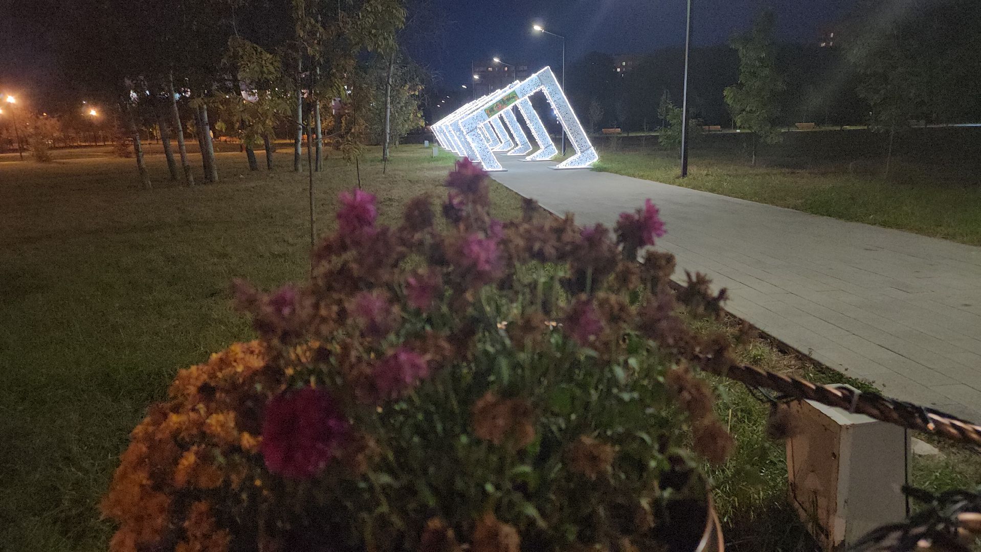 долгопрудный, центральный парк, светодиоды, цветник,клумбы,