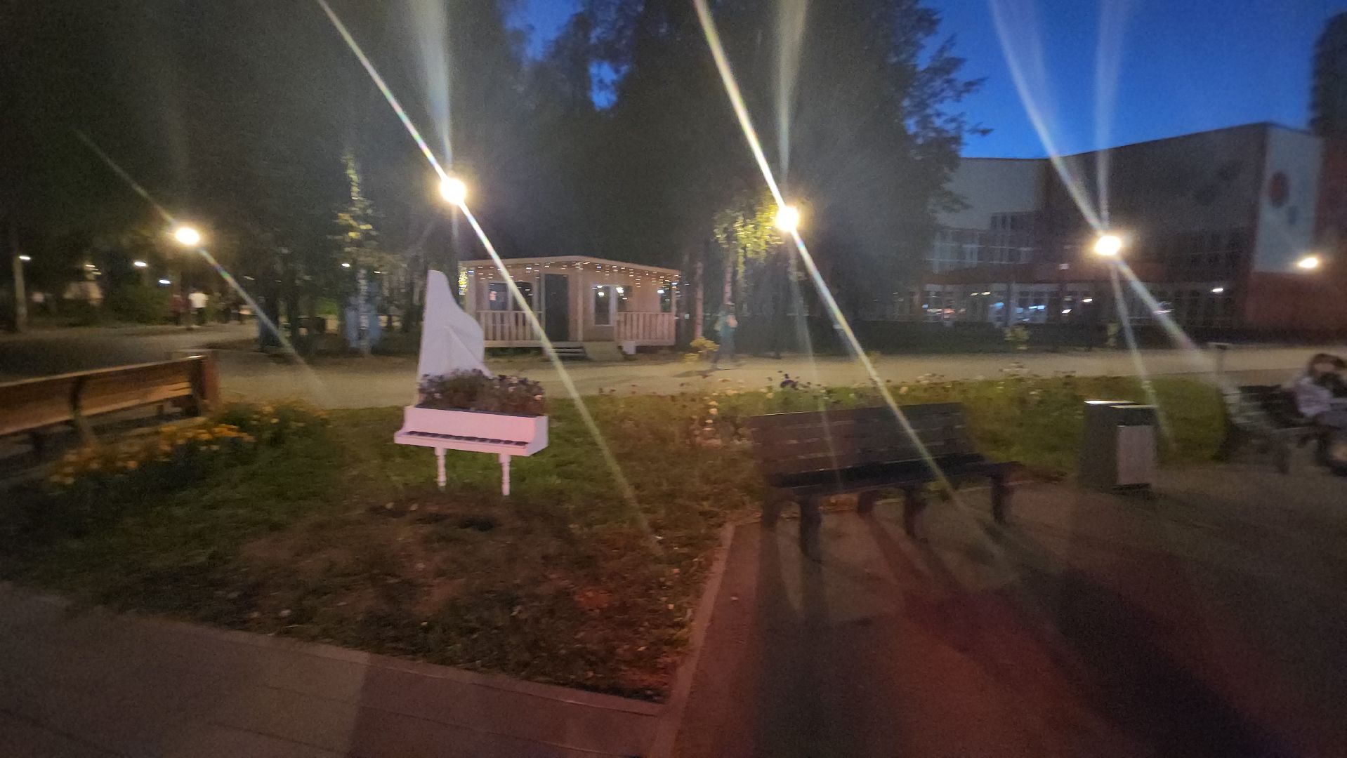 долгопрудный, центральный парк, светодиоды, цветник,клумбы,