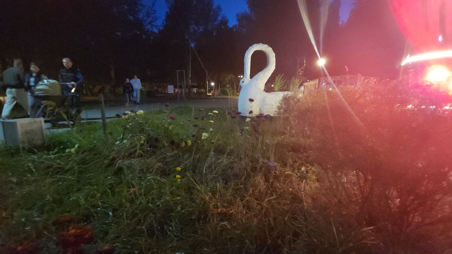 долгопрудный, центральный парк, светодиоды, цветник,клумбы,