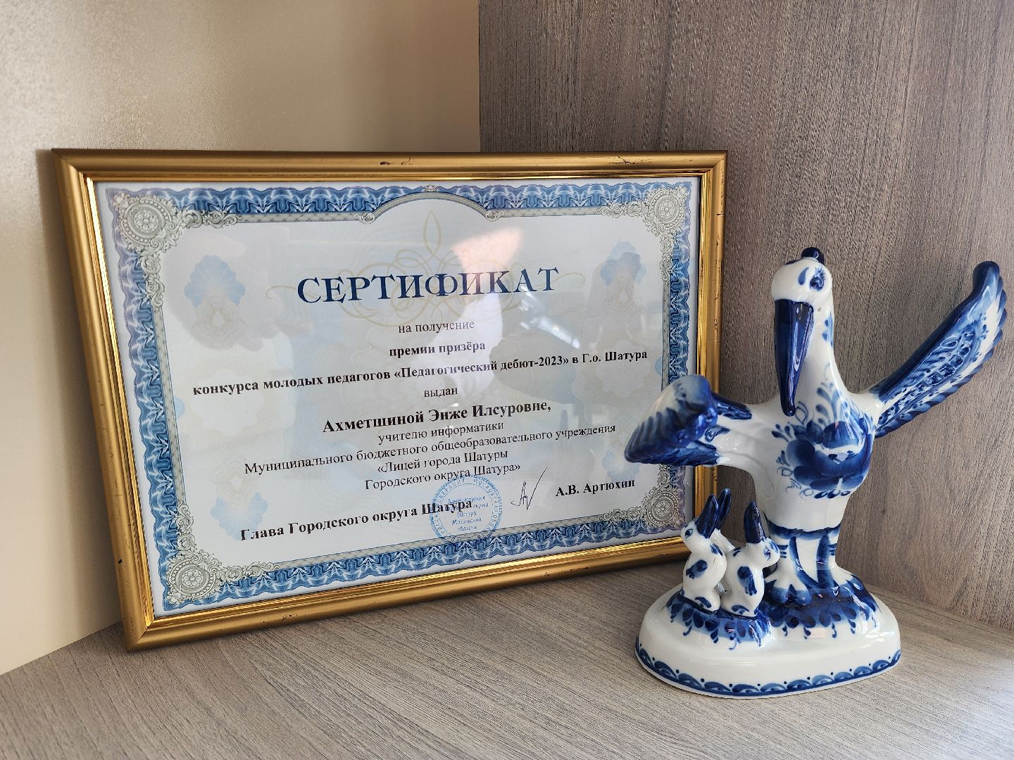 шатура, образование, образование в подмосковье, молодая учительница, молодой специалист, михаил мартыненко, культурная шатура,