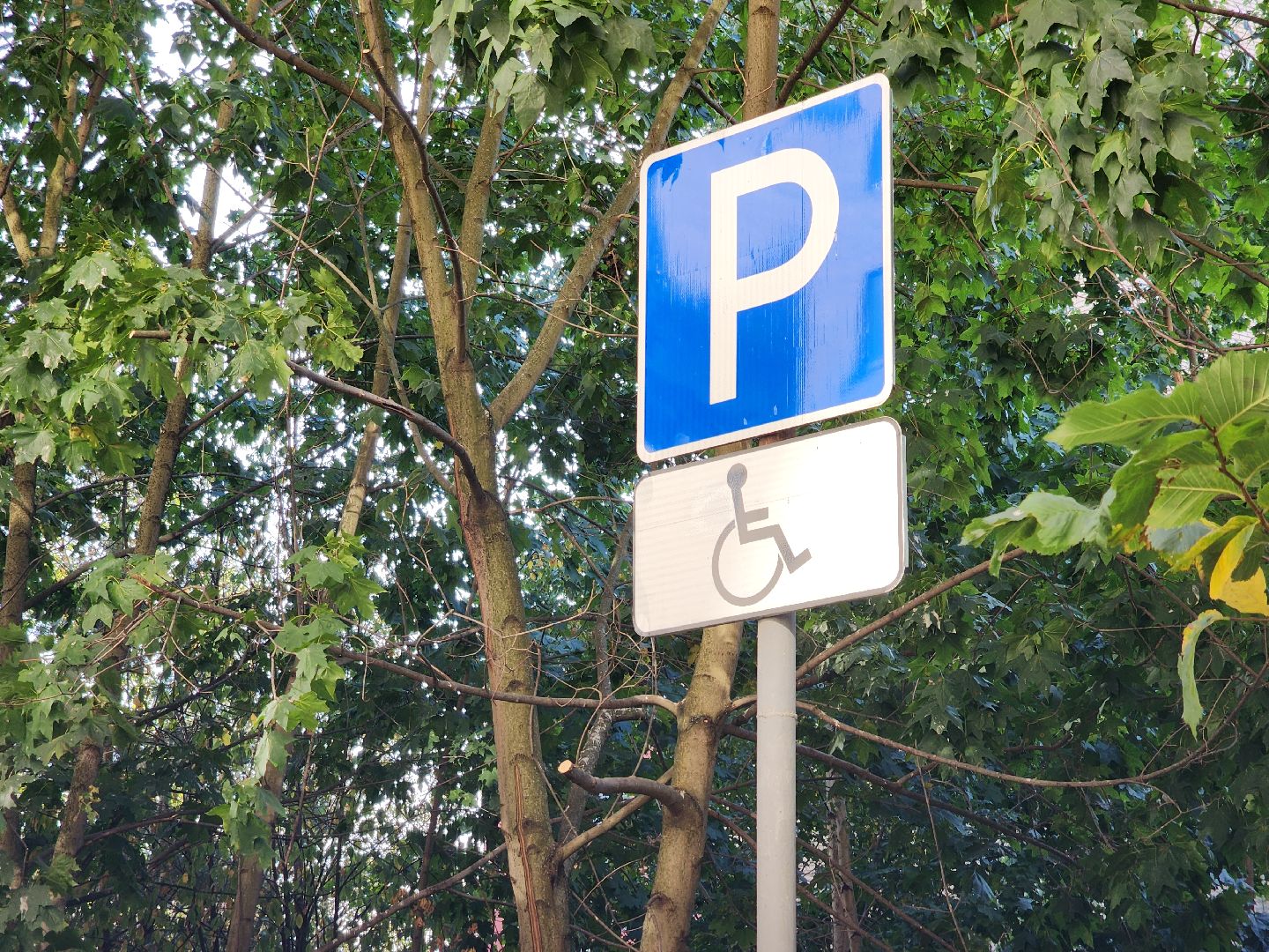 Черноголовка, Дороги, Дорожная разметка, Парковки,