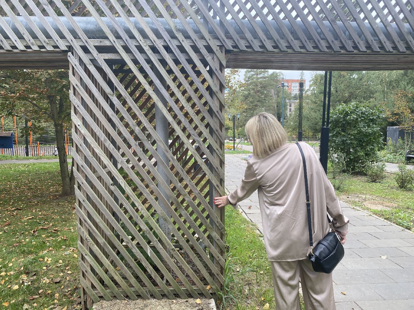 благоустройство территории, Власиха благоустройство, набережная верхнего озера, мкр Цветной бульвар, обход территории власиха,